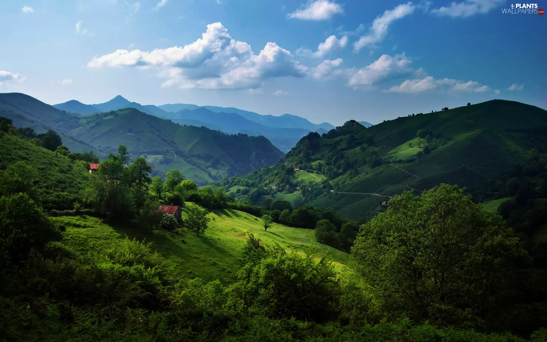 trees, clouds, Houses, The Hills, Sky, viewes, Mountains