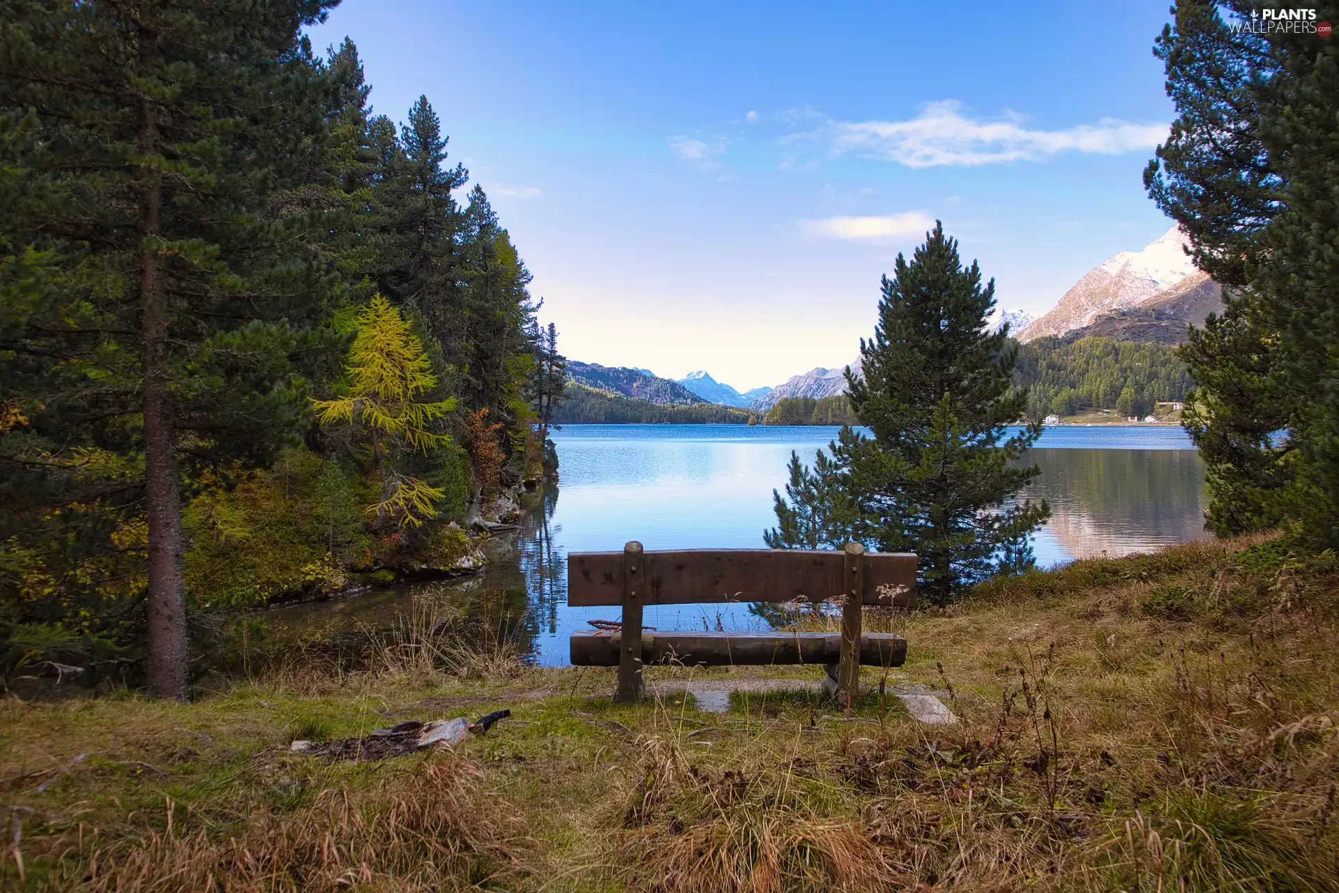 viewes, Mountains, lake, trees, Bench