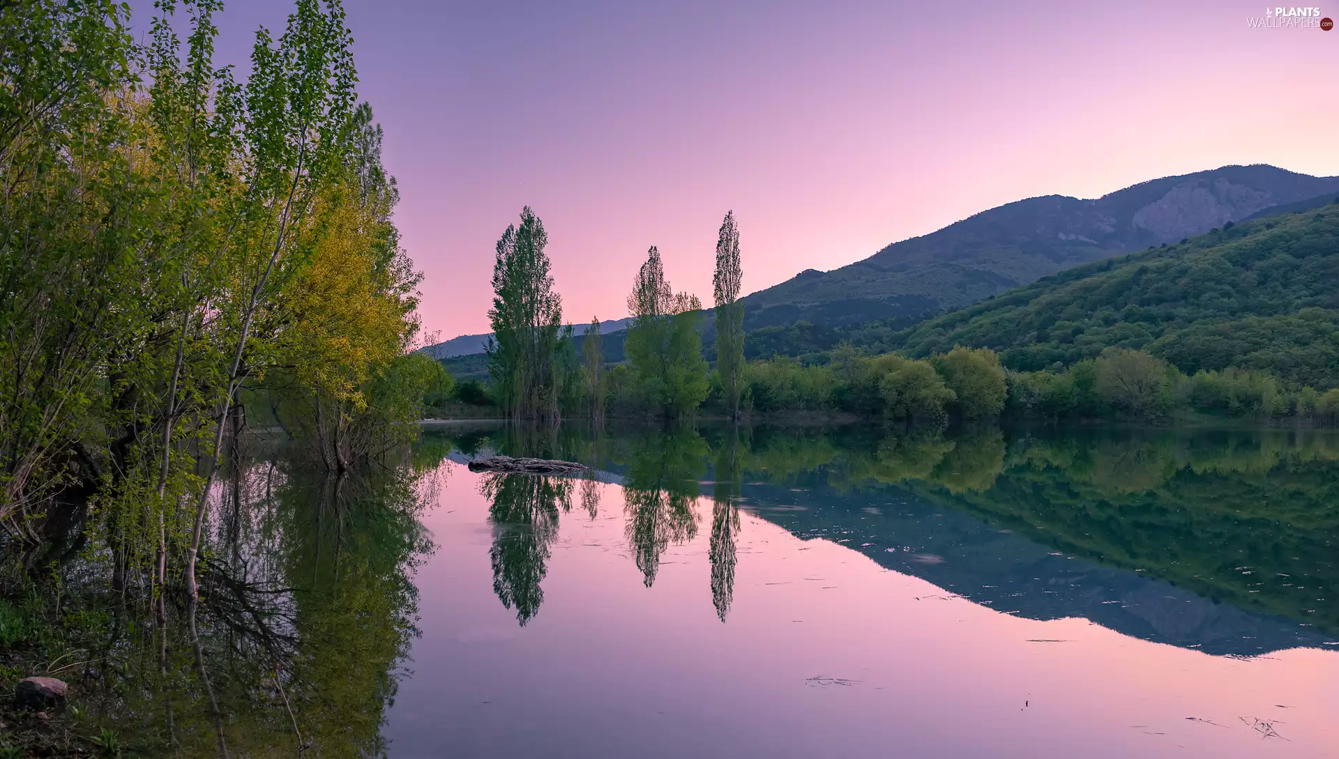 viewes, The Hills, Mountains, trees, lake