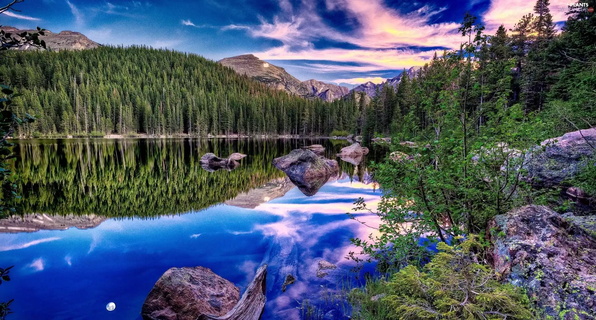 lake, forest, reflection, Mountains