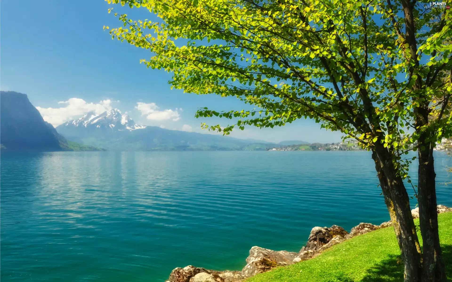 lake, trees, rocks, Mountains