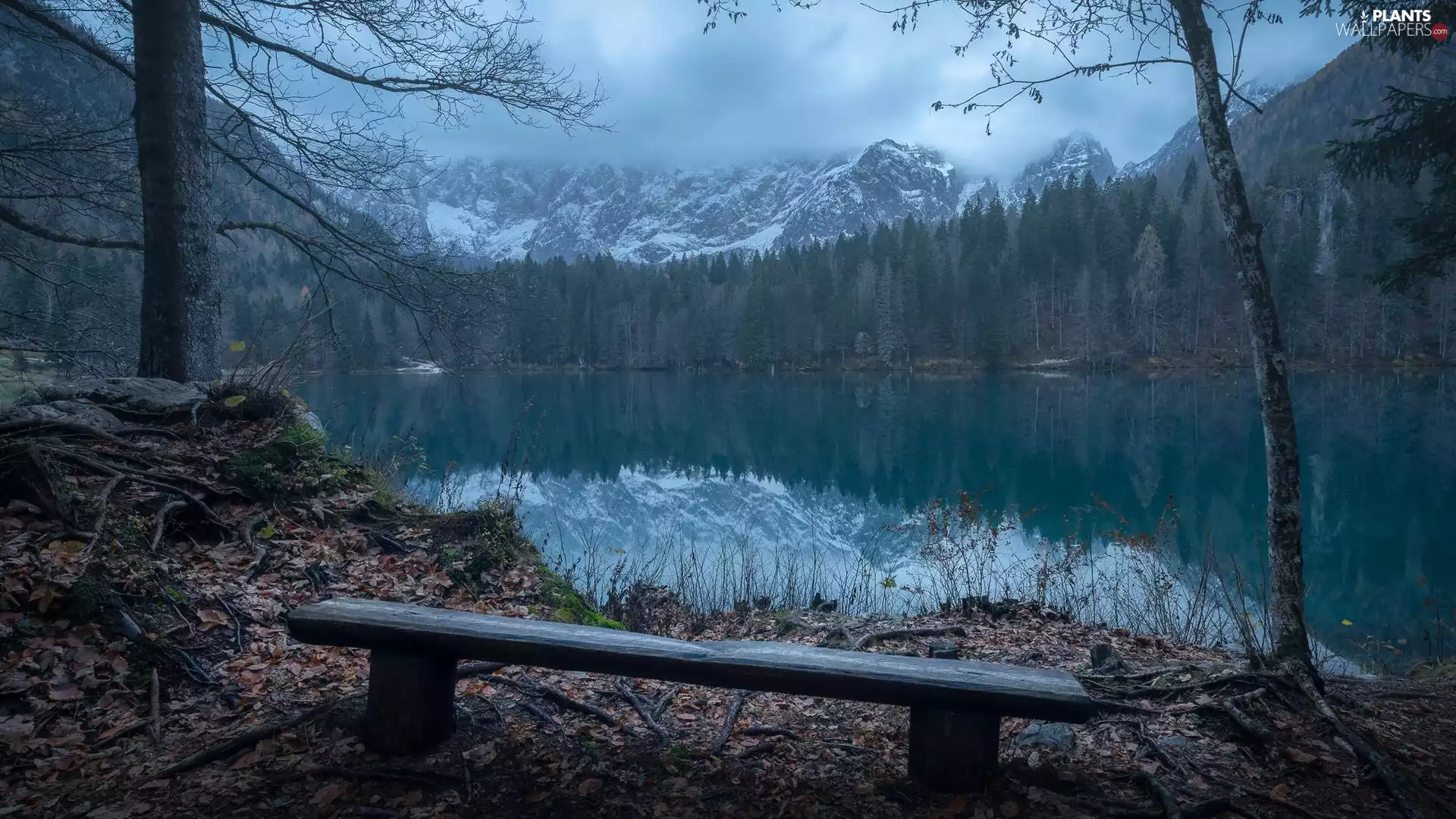 trees, Bench, Snowy, Mountains, viewes, lake