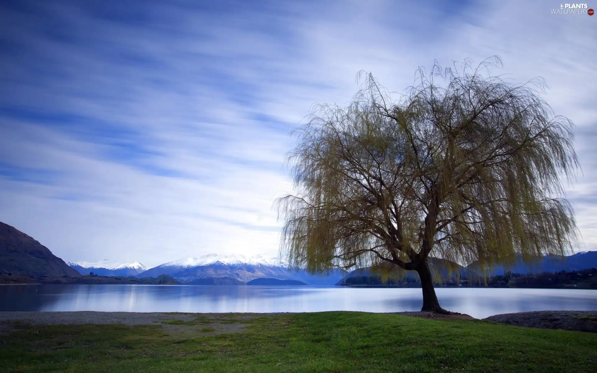 Mountains, trees, lake