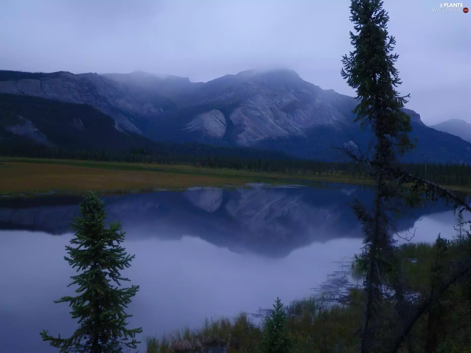 lake, trees, viewes, Mountains