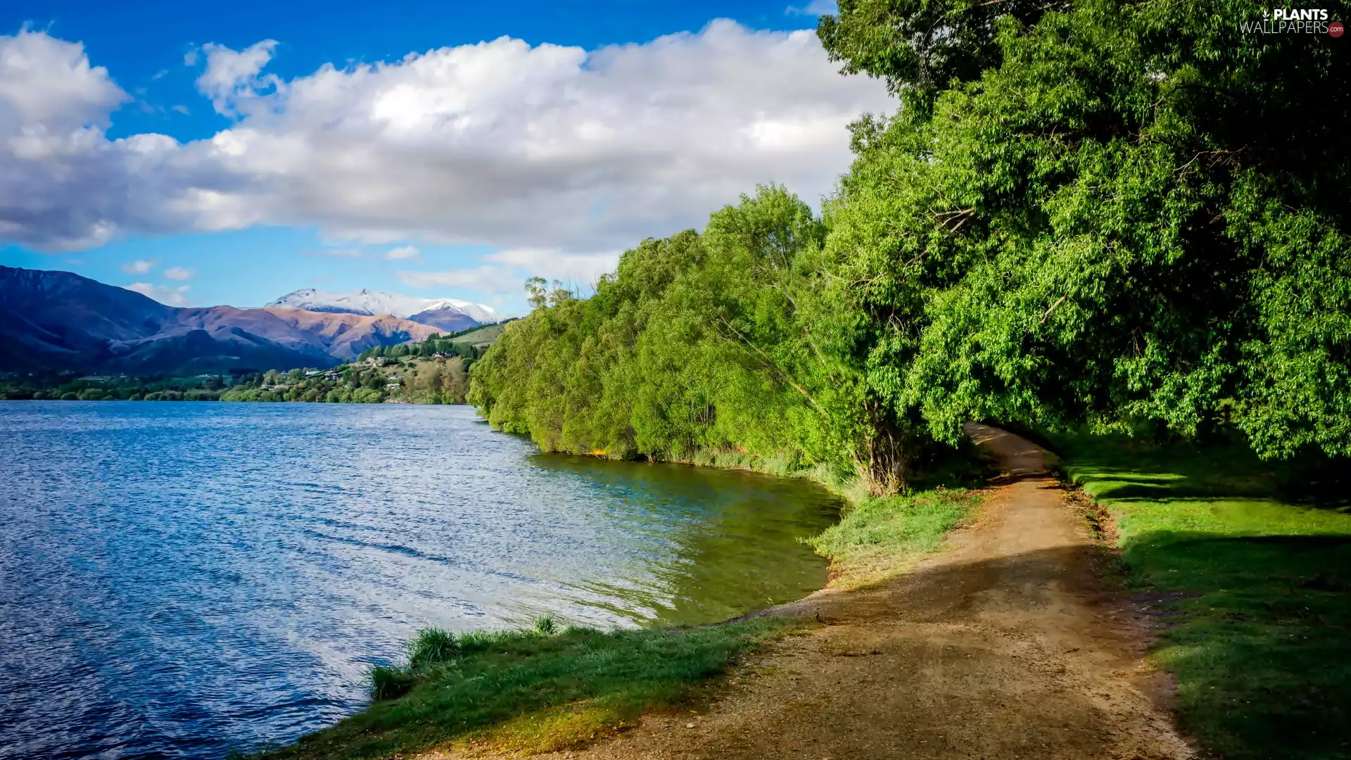 Way, Park, viewes, Mountains, trees, lake