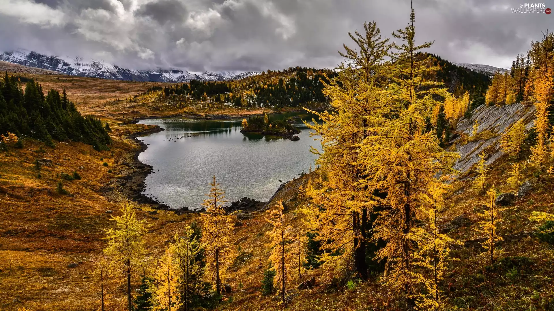 trees, lake, Larches, Mountains, autumn, viewes, clouds