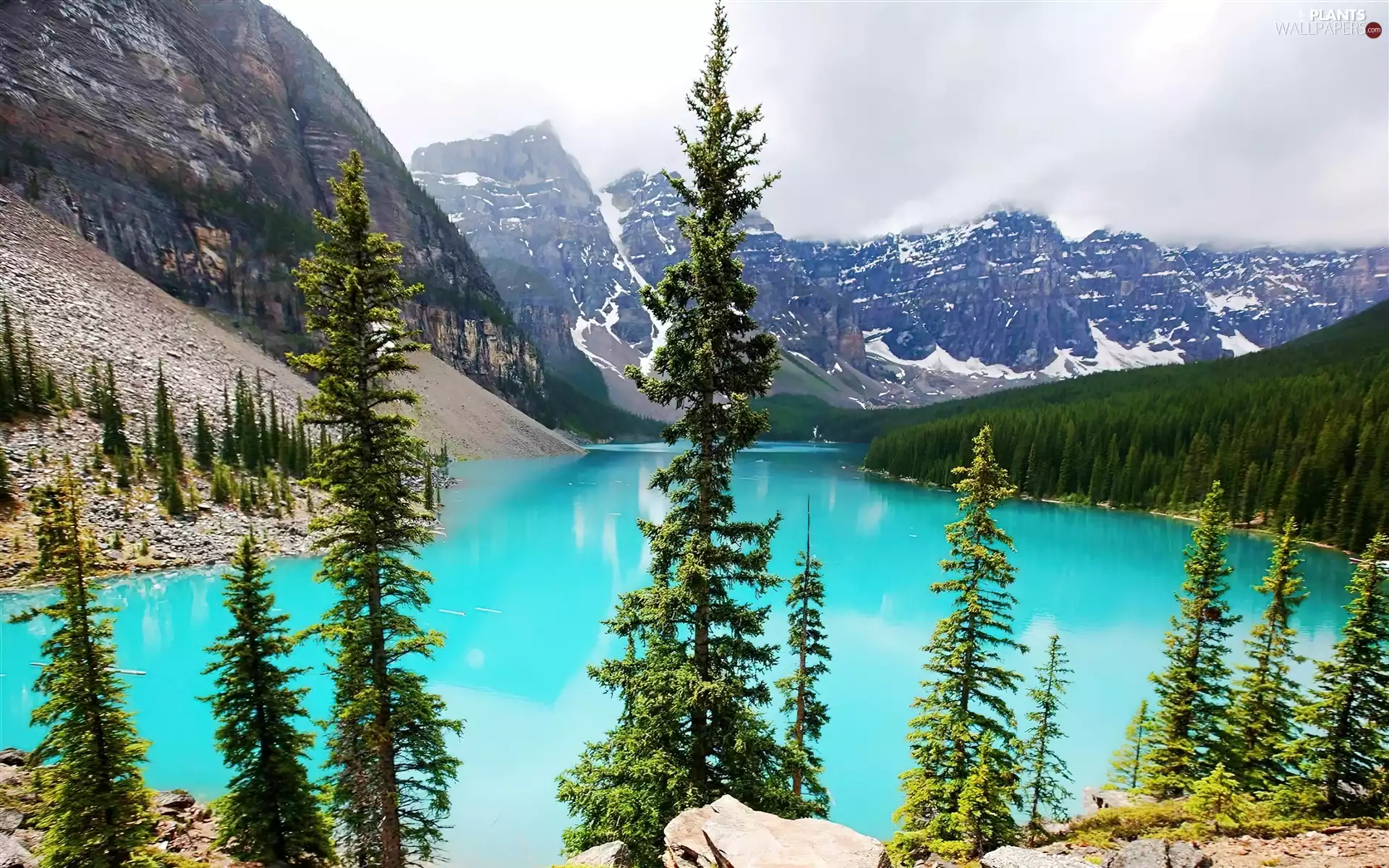 viewes, Mountains, moraine, trees, lake