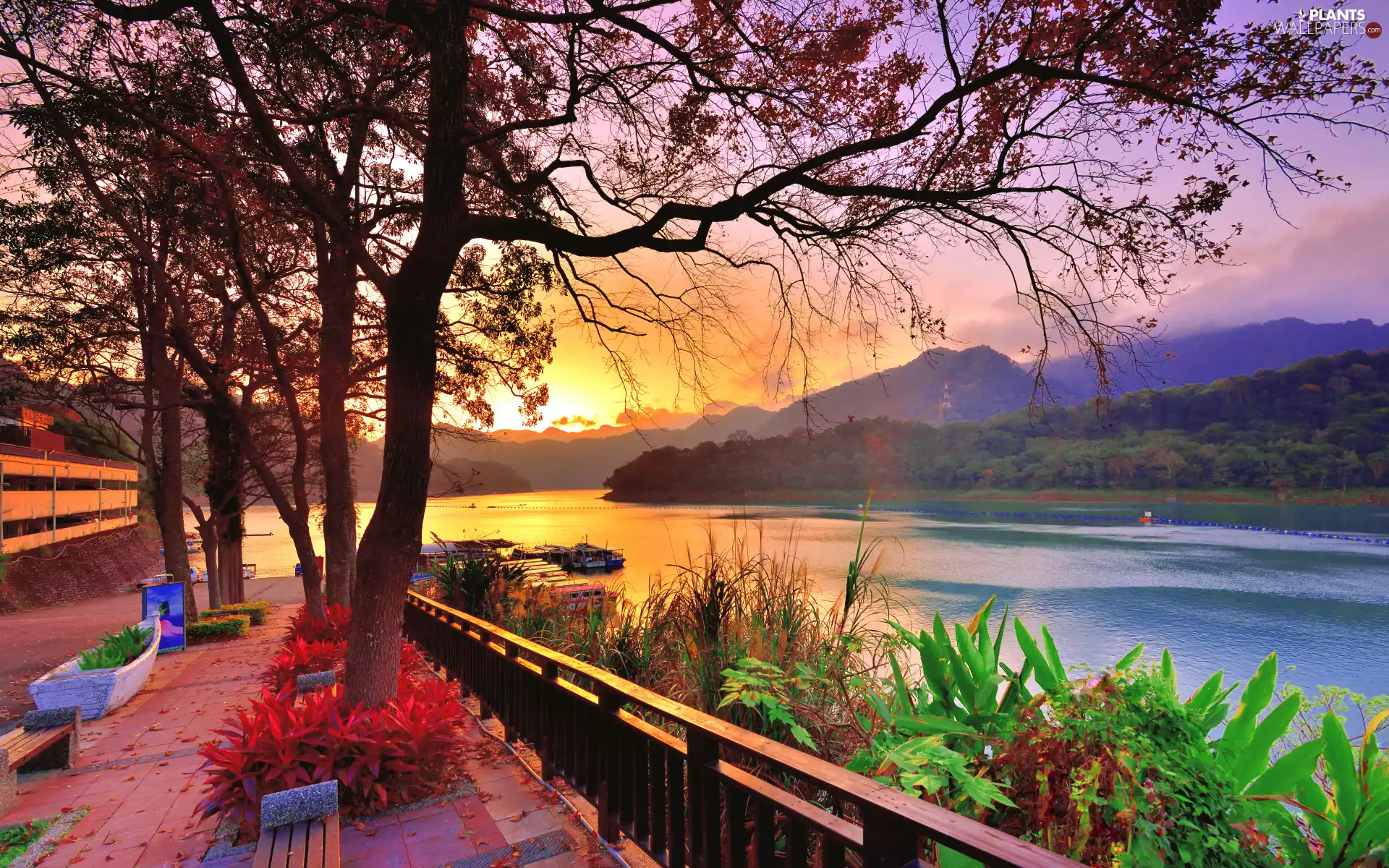 viewes, bench, morning, Plants, River, trees, autumn, Mountains