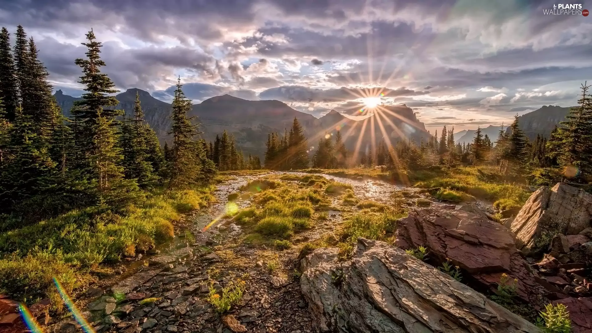rocks, rays of the Sun, trees, viewes, Mountains