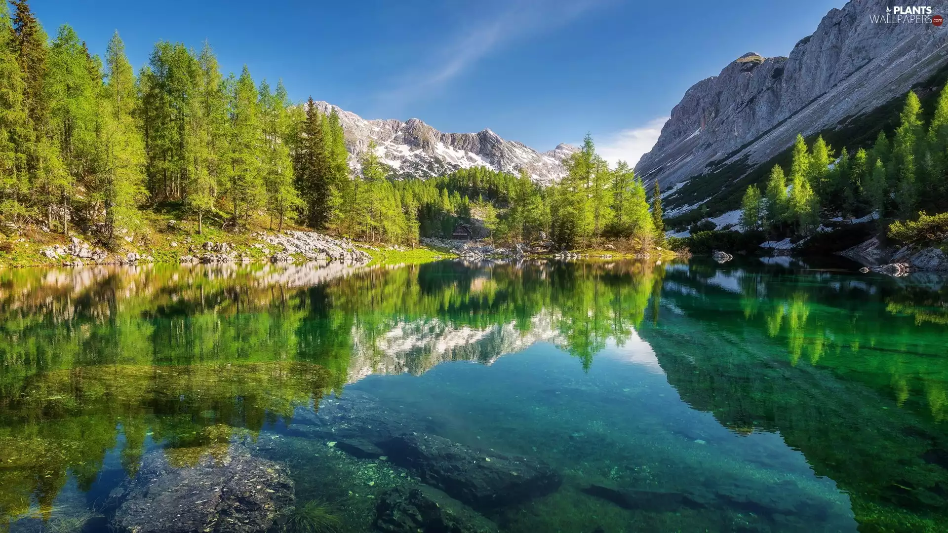 Slovenia, Valley of Triglav Lakes, Julian Alps Mountains
