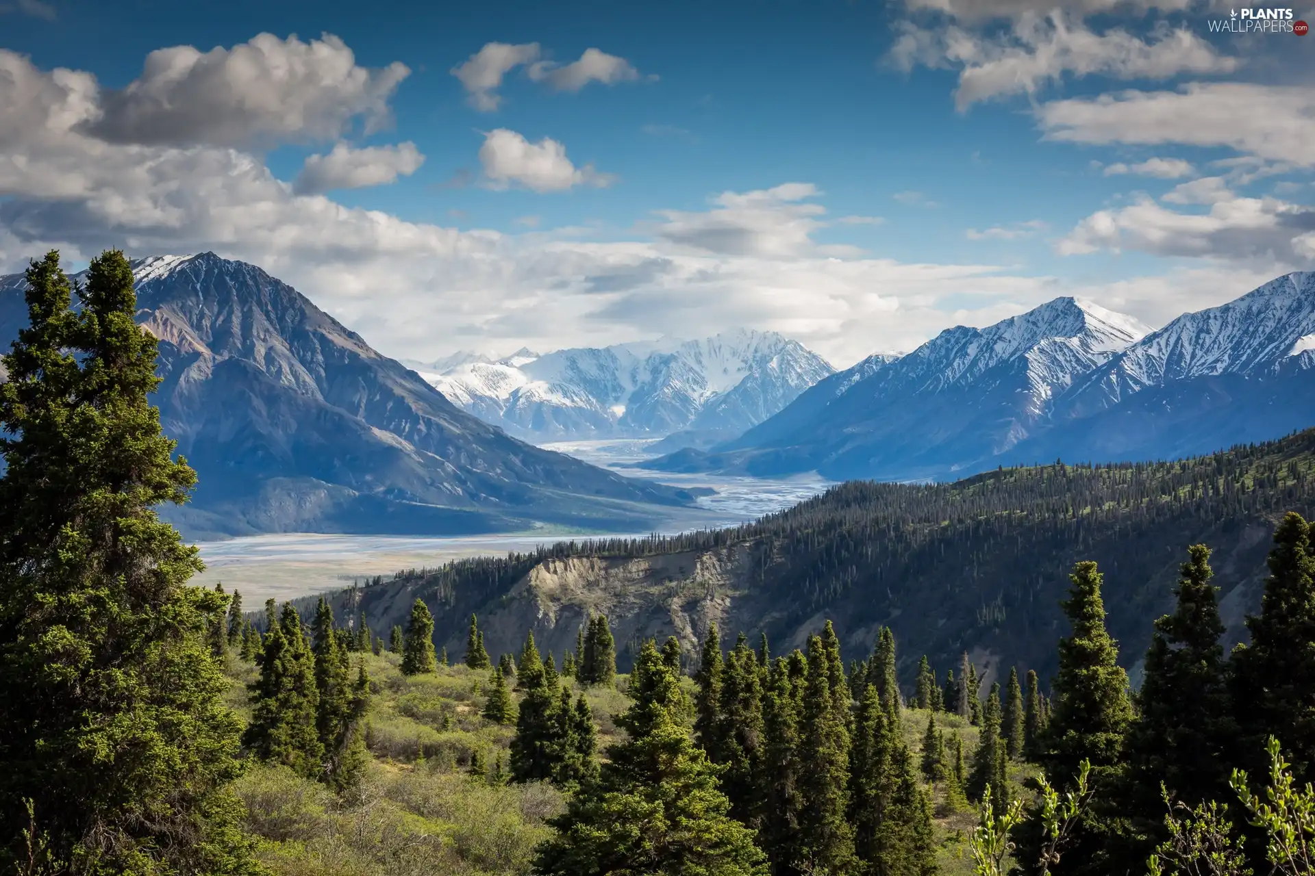 Mount Logan, Yukon, Mountains, trees, edifice, Canada, Kluane National Park, viewes, woods, mount