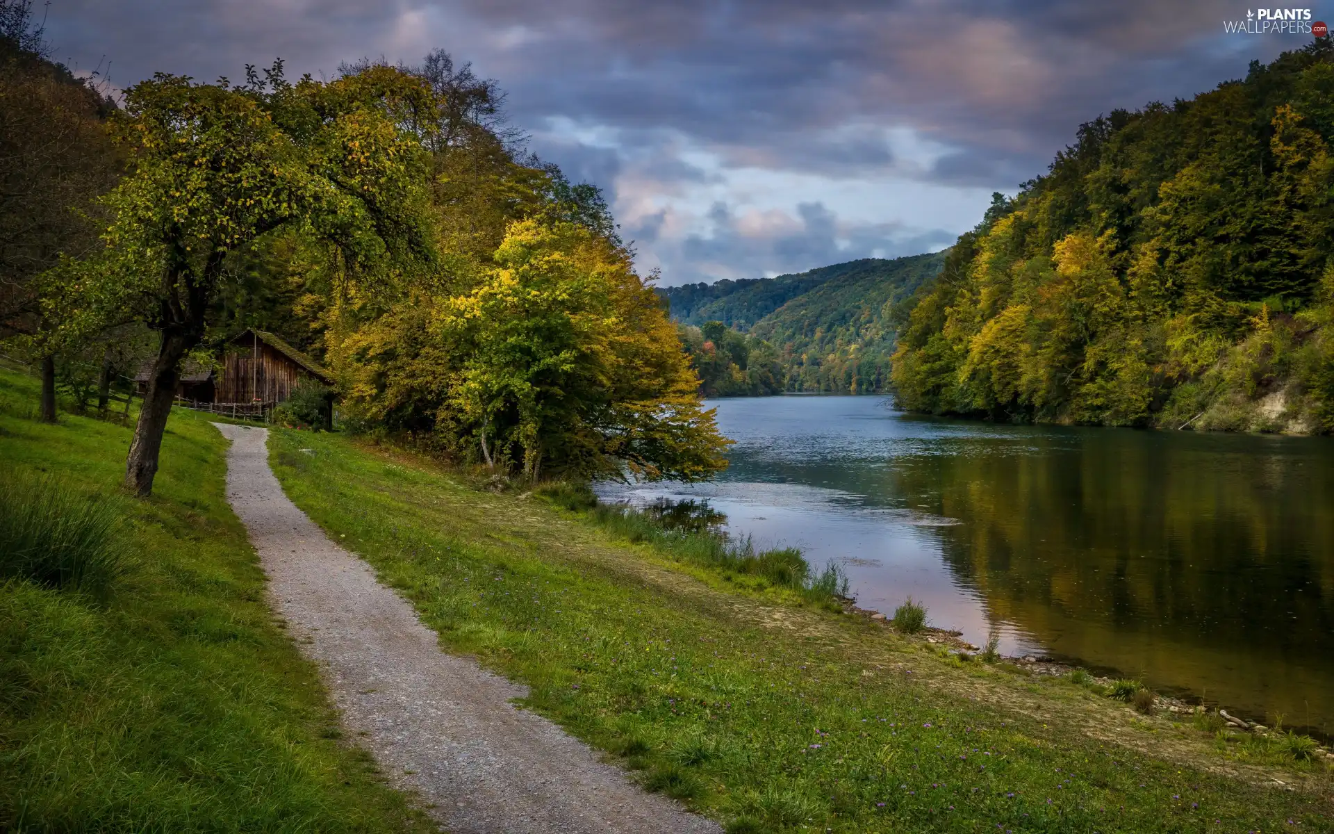 Mountains, River, forest, trees, grass, clouds, Path, house, viewes