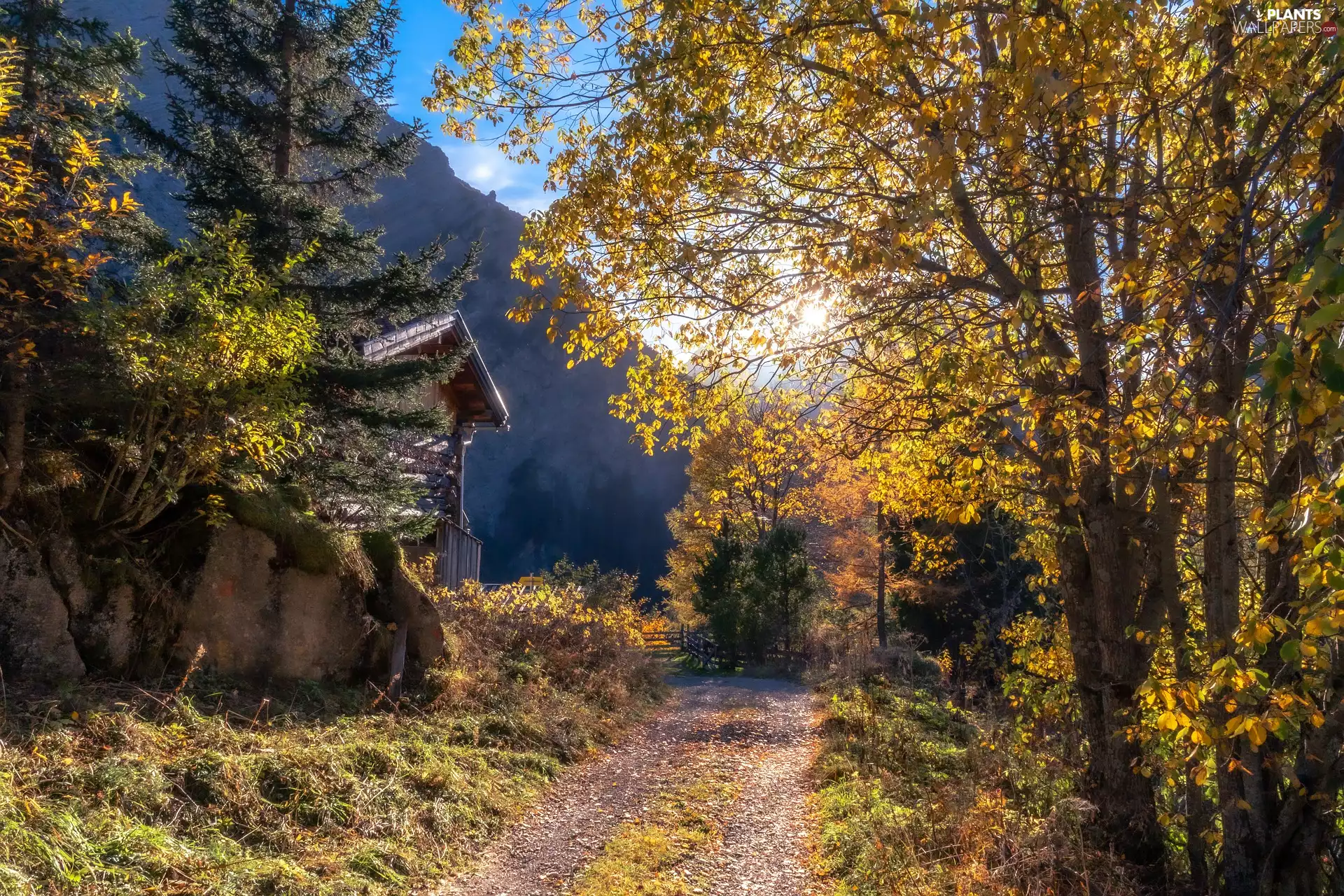 house, autumn, viewes, Mountains, trees, Path