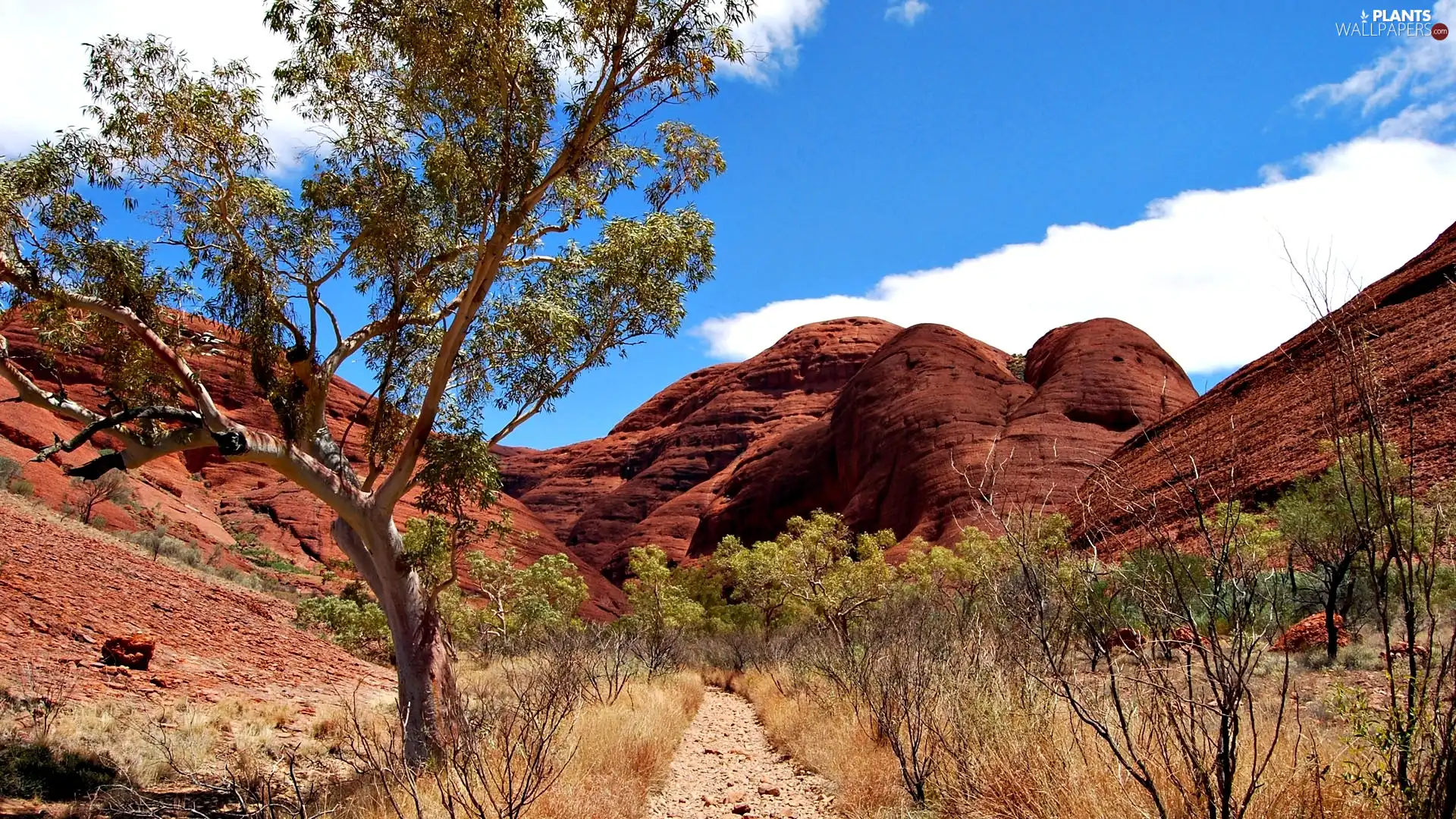 Red, Mountains