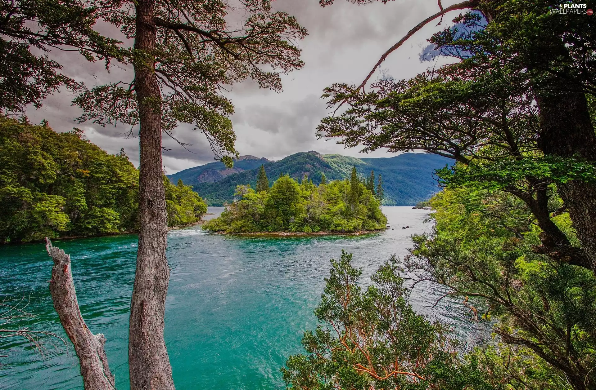 River, trees, viewes, Mountains