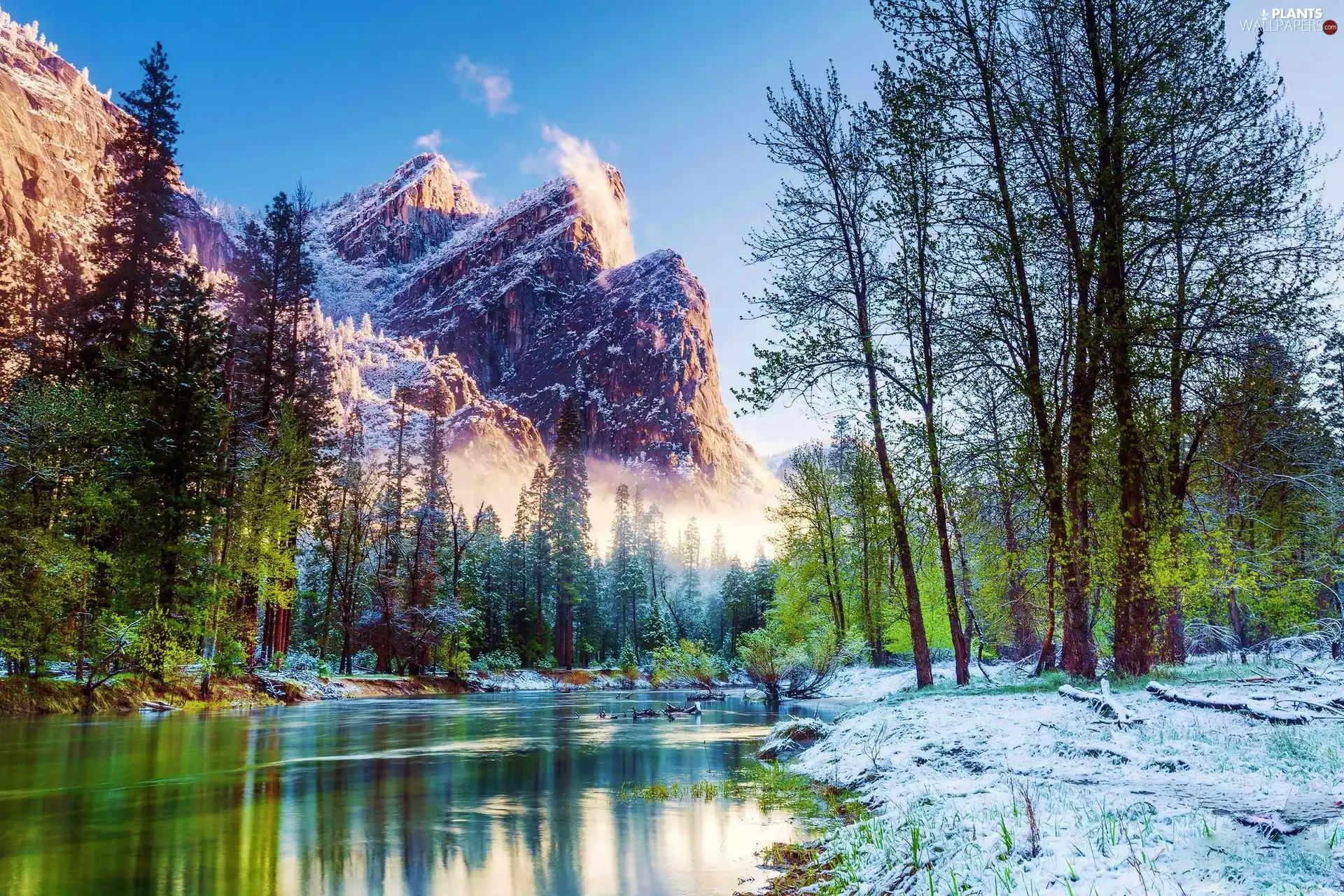 River, trees, viewes, Mountains