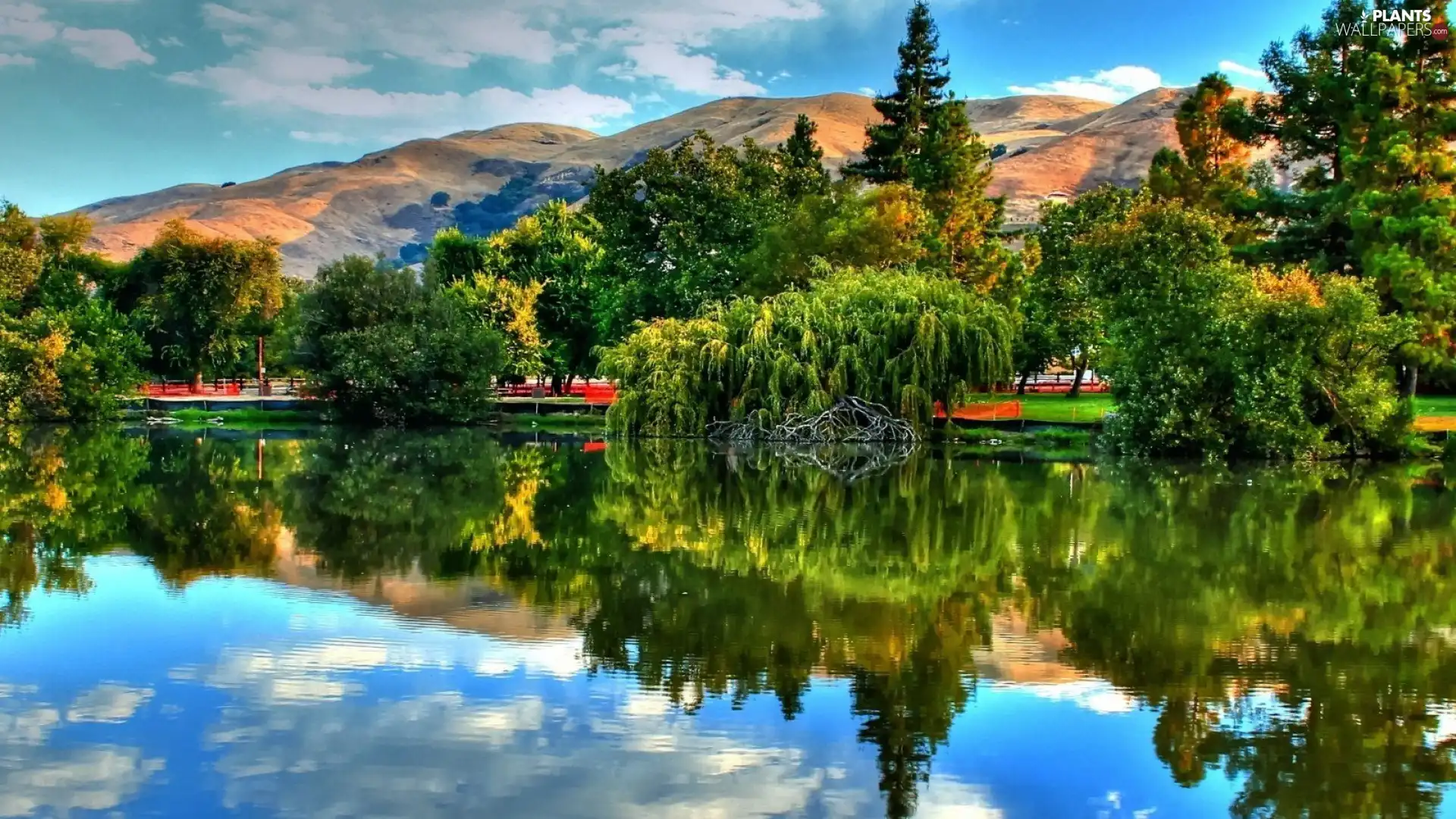 River, viewes, Mountains, trees