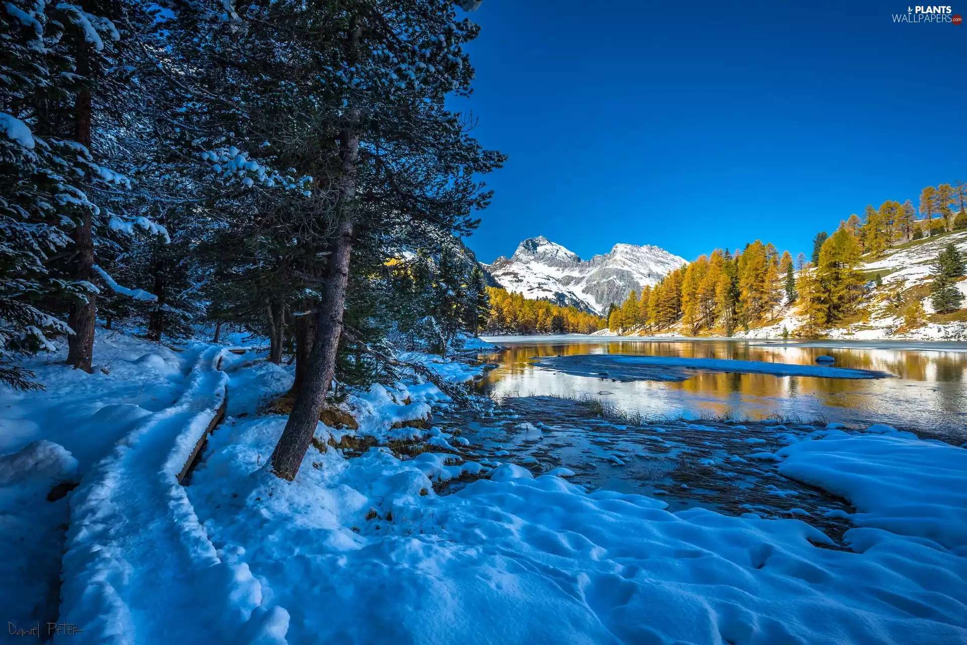 viewes, Mountains, River, trees, winter