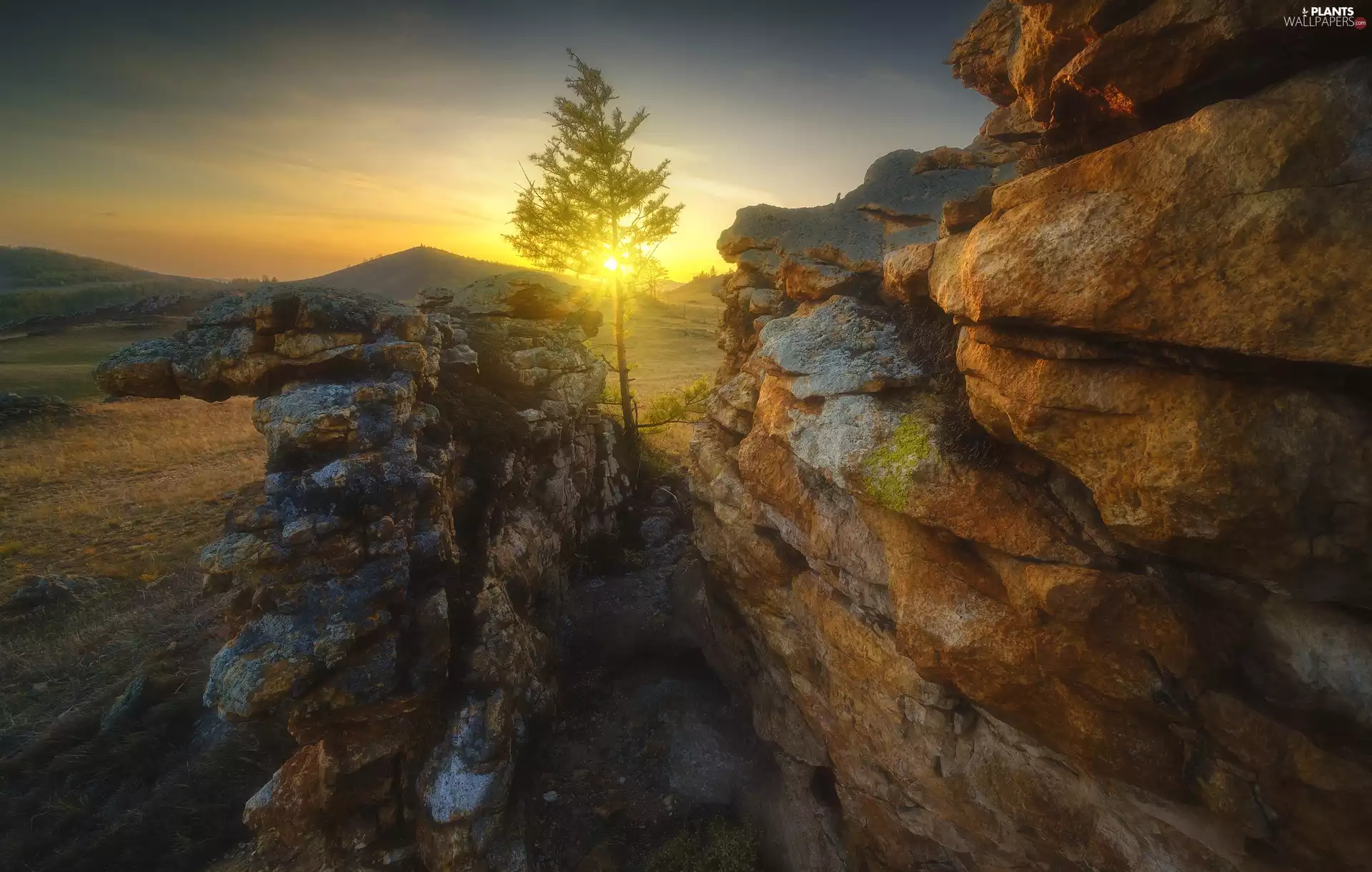 rocks, trees, sun, Mountains