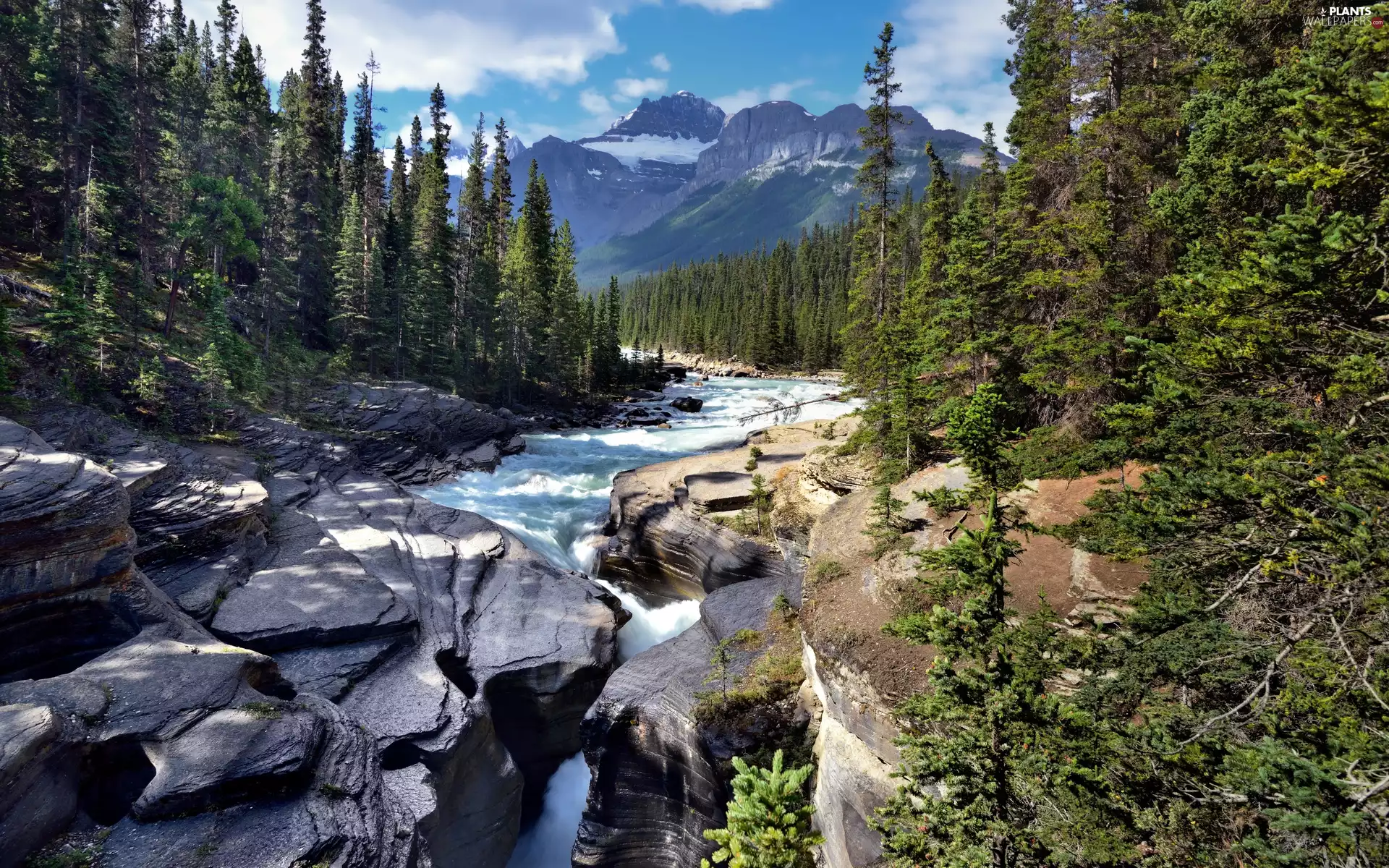 forest, River, viewes, Mountains, trees, rocks