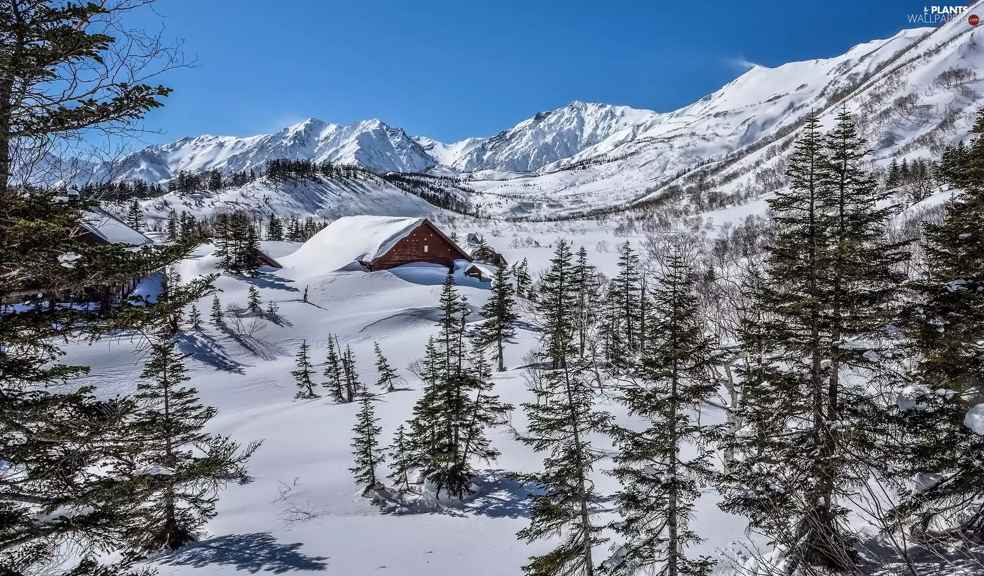 trees, winter, Houses, Mountains, viewes, snow