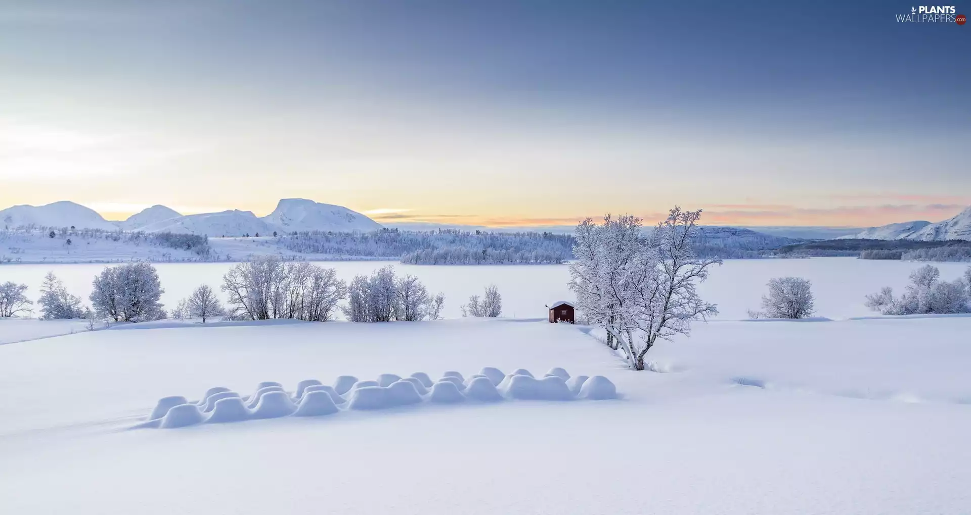 trees, winter, Sunrise, Mountains, viewes, snow