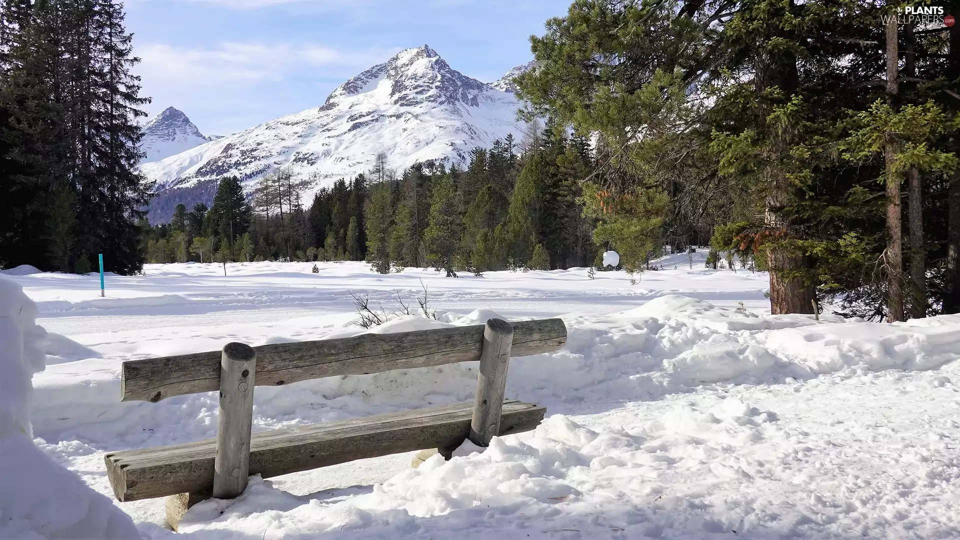 Mountains, Bench, trees, car in the meadow, winter, snow, viewes