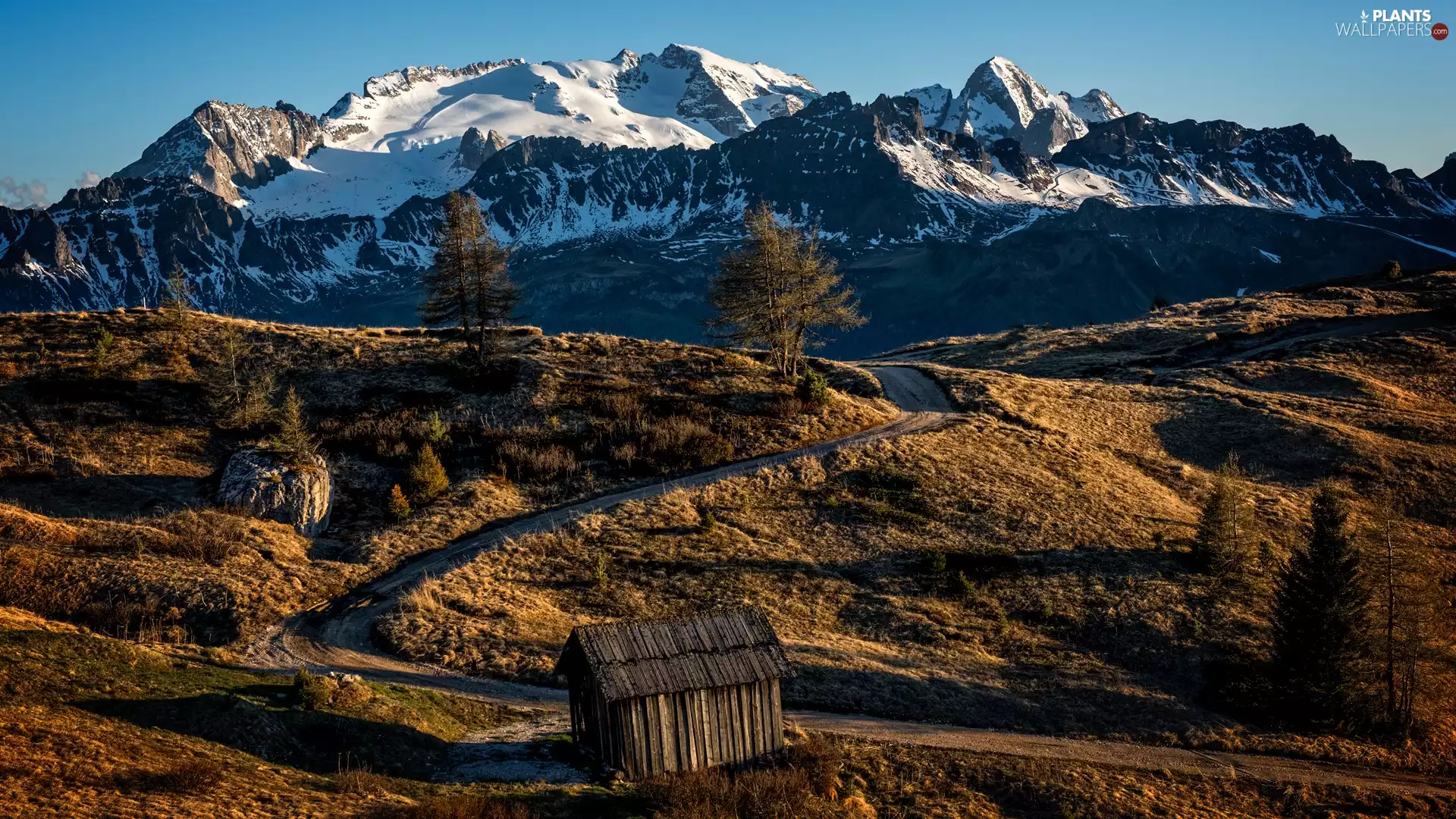 Mountains, Italy, Dolomites, trees, Wooden, cote, Snowy, peaks, viewes