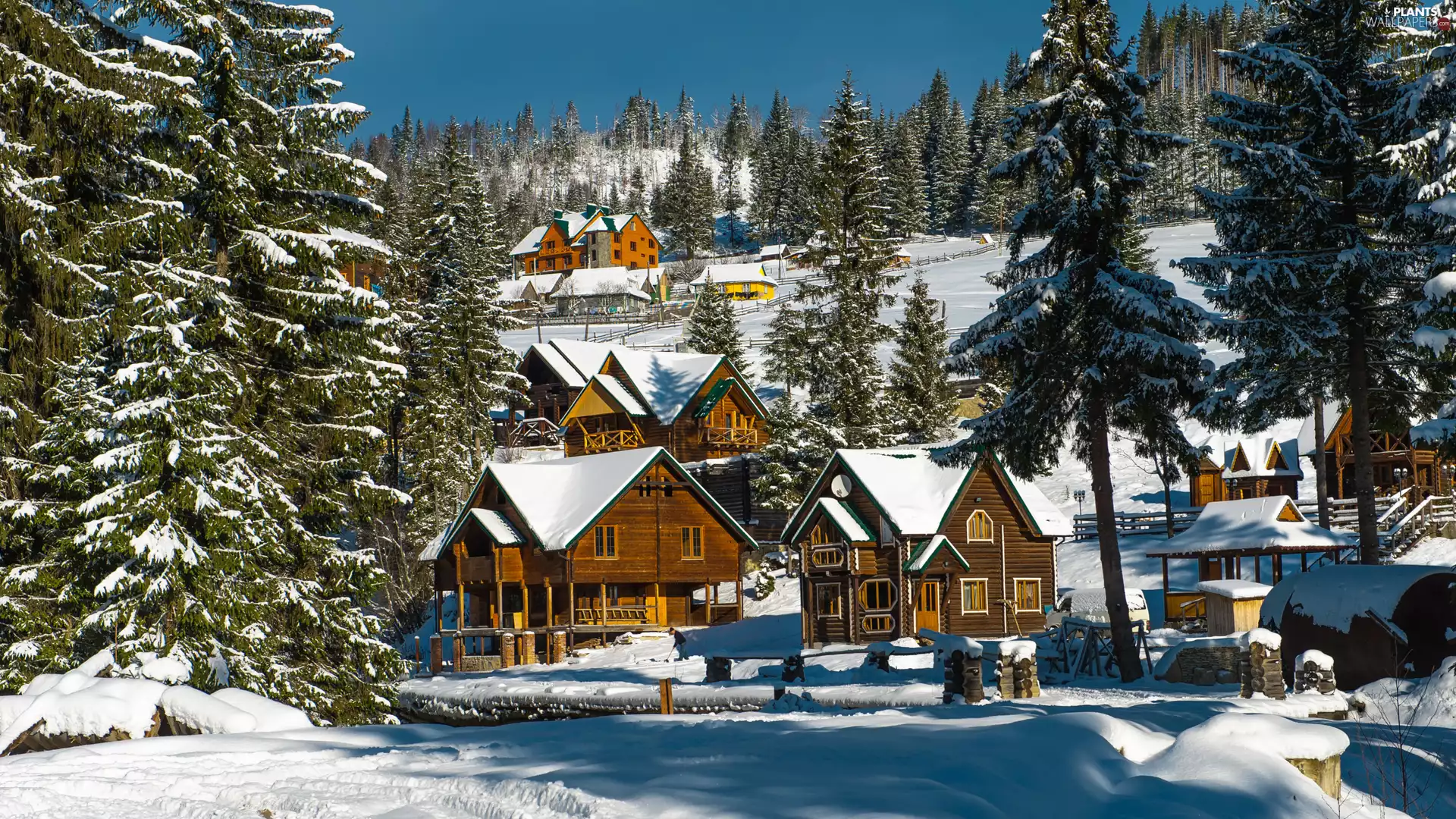 trees, snow, Snowy, Mountains, winter, viewes, Houses