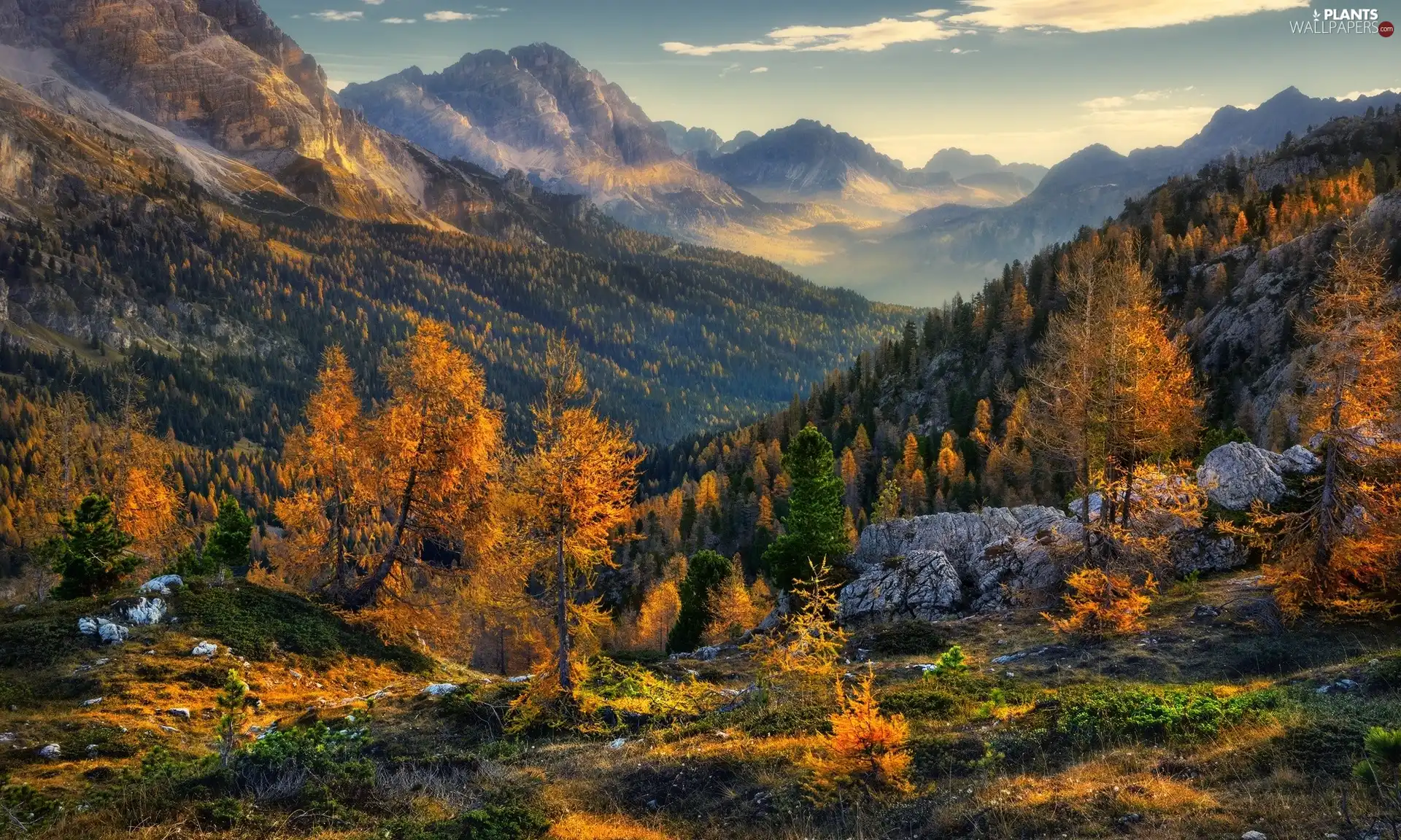 autumn, Alps, Stones, Dolomites, Italy, Mountains, Spruces