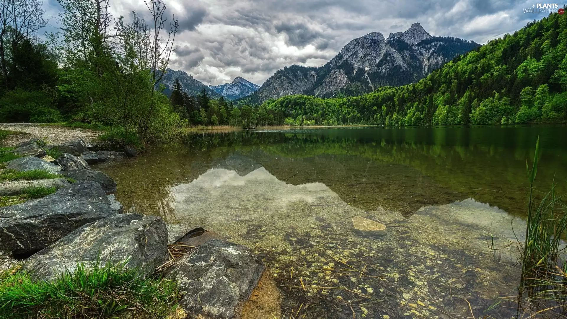 viewes, Mountains, Stones, trees, lake