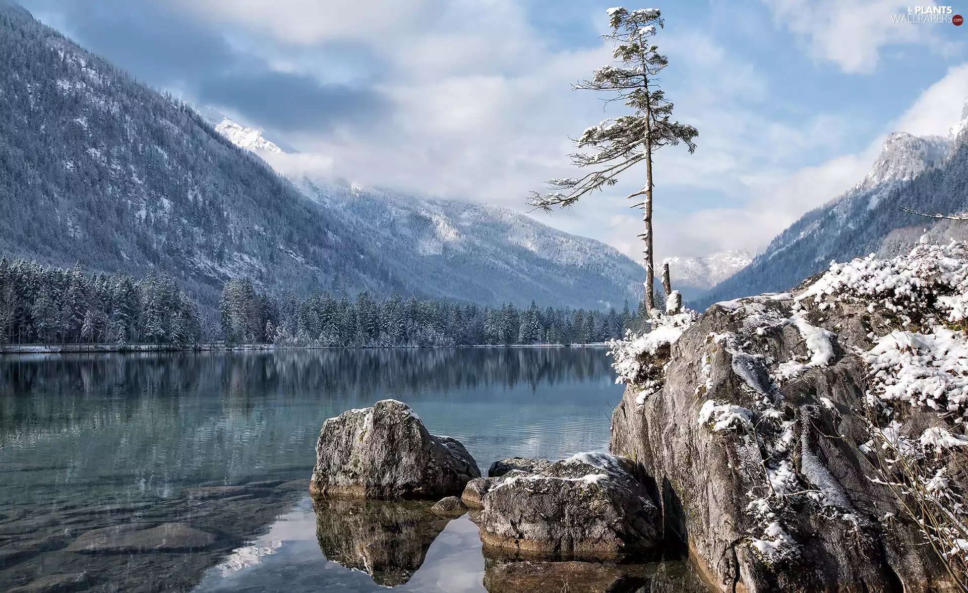trees, River, Stones, Mountains, winter, viewes, Rocks