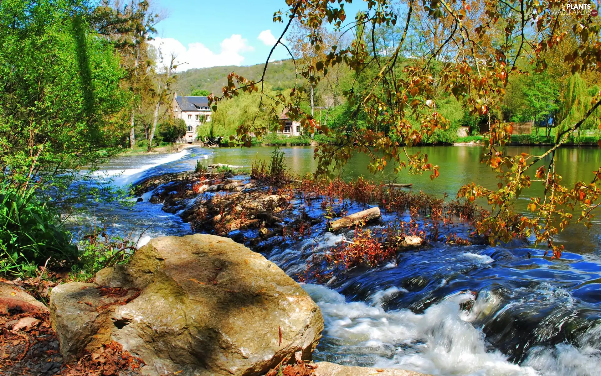 viewes, Mountains, Stones, trees, River