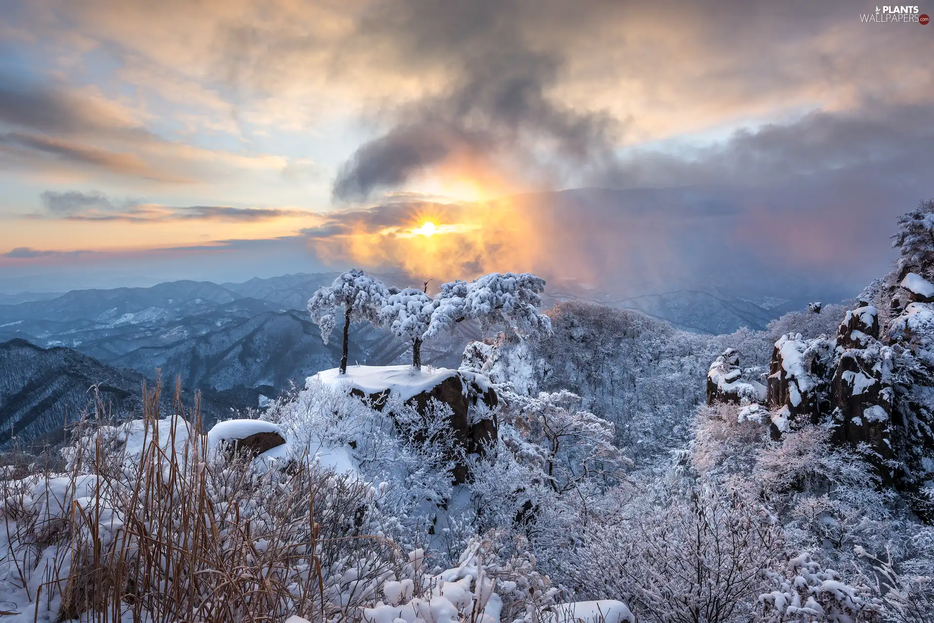 Mountains, winter, viewes, rays of the Sun, trees, snow