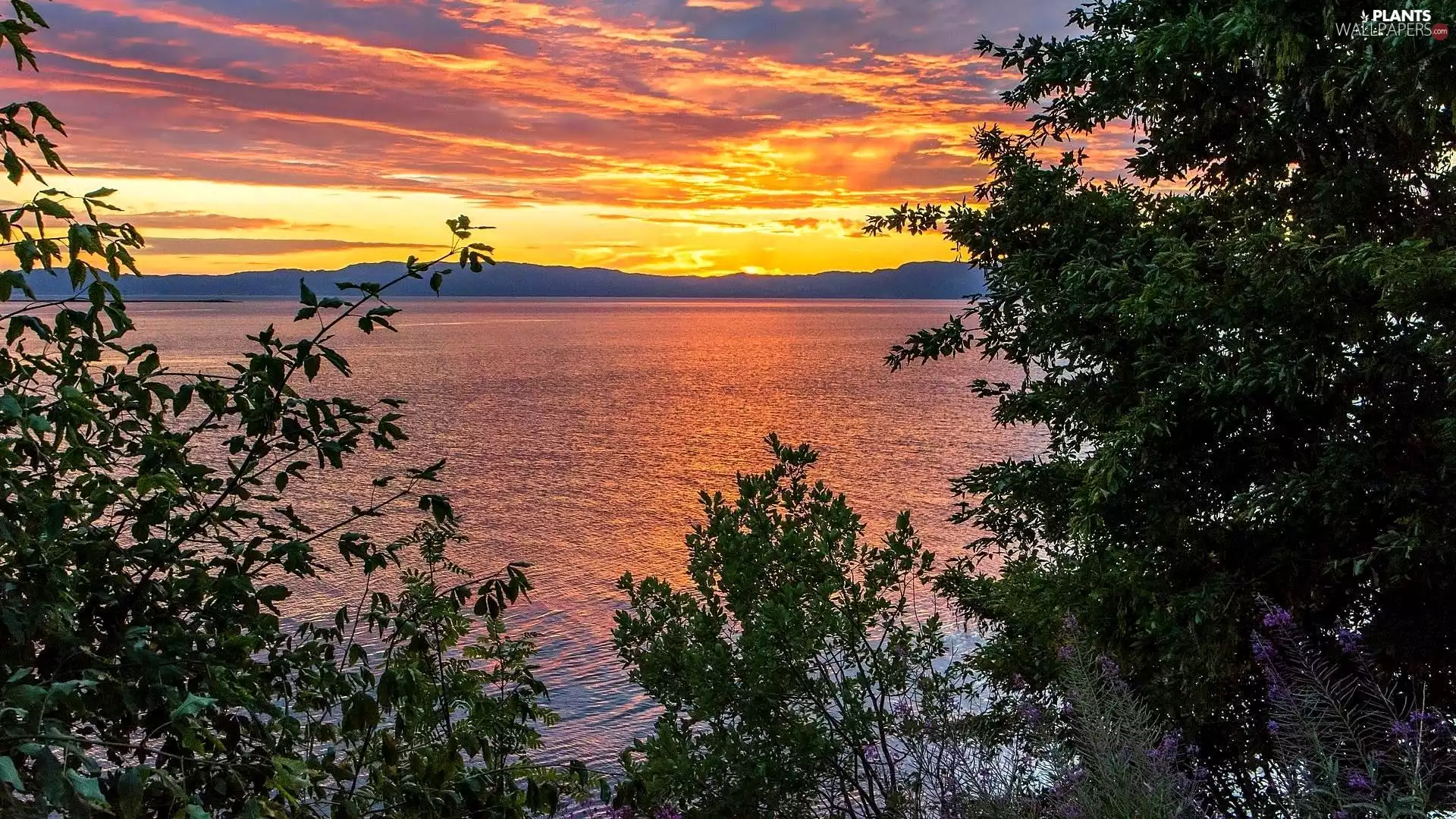 trees, viewes, lake, Mountains, Great Sunsets