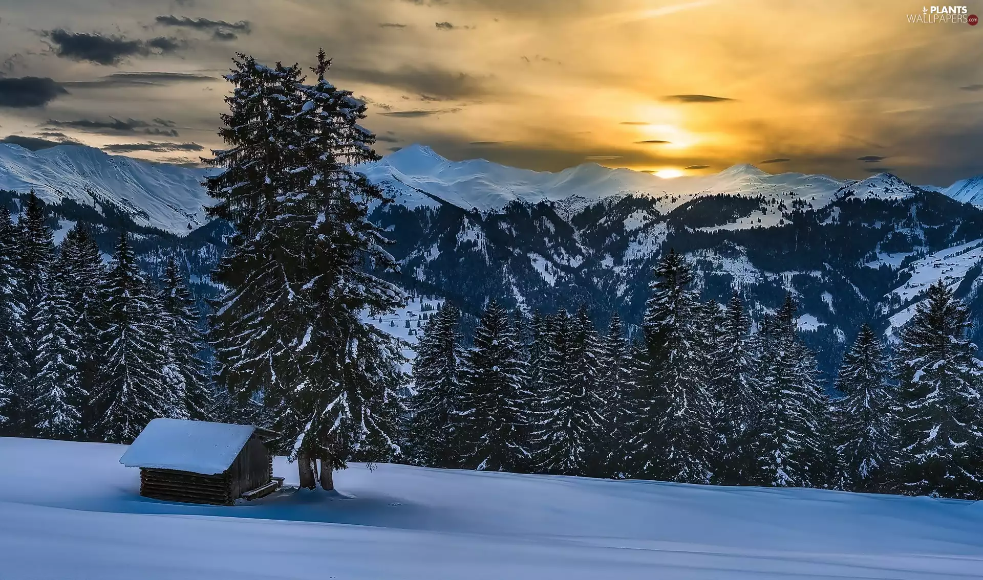 clouds, cottage, Great Sunsets, winter, Alps Mountains, trees, Wooden, Switzerland, viewes, forest, Pany Village, Canton Graubunden