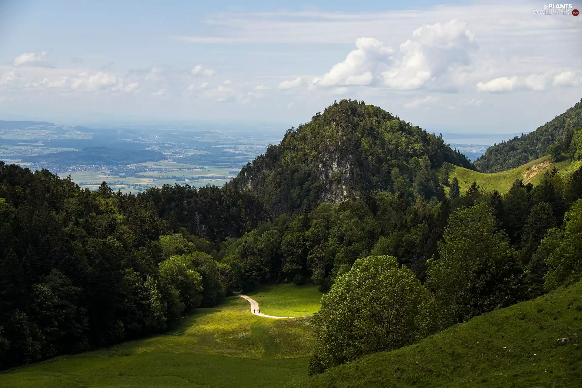 green ones, The Hills, viewes, Way, trees, mountains