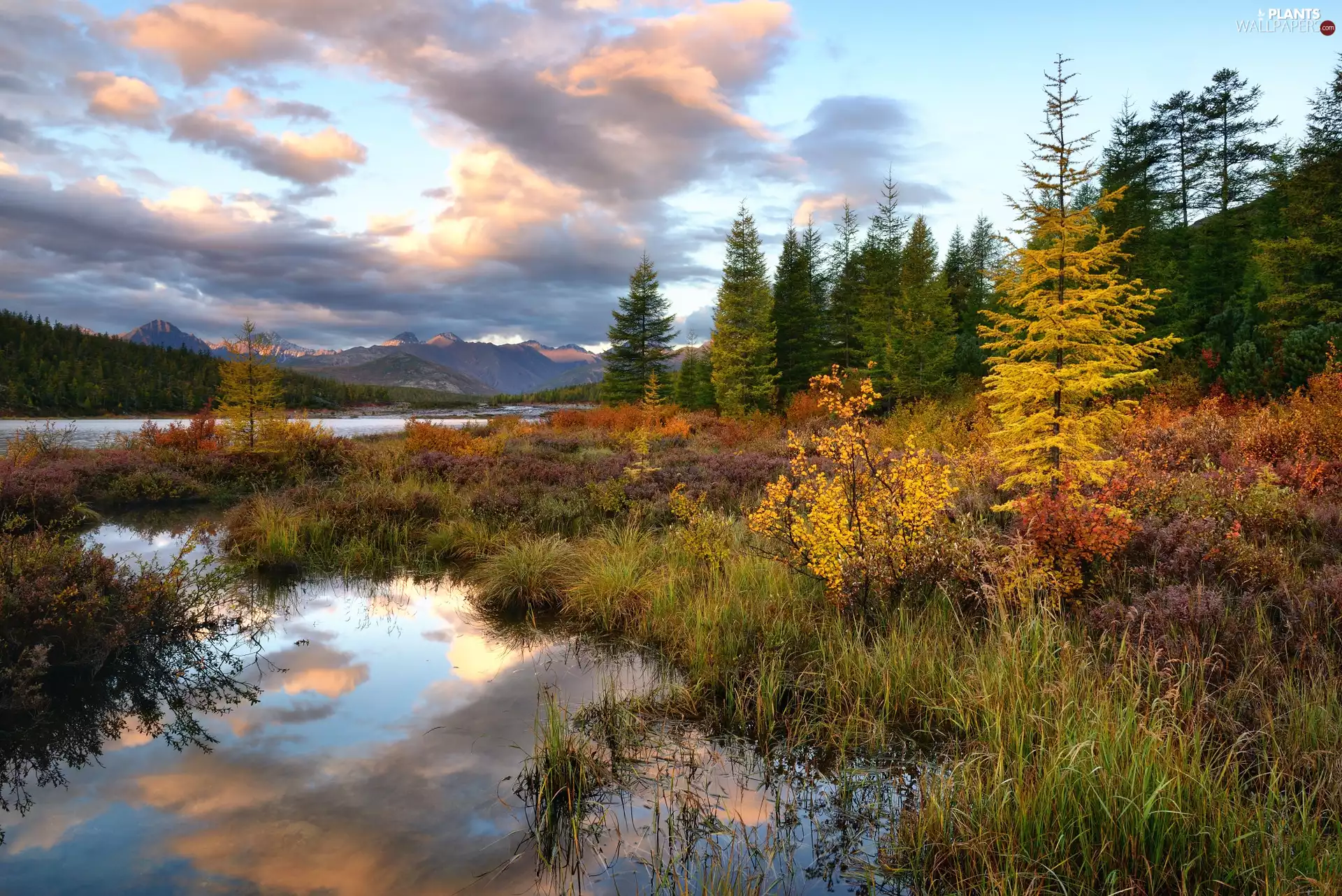 viewes, autumn, grass, Mountains, River, trees