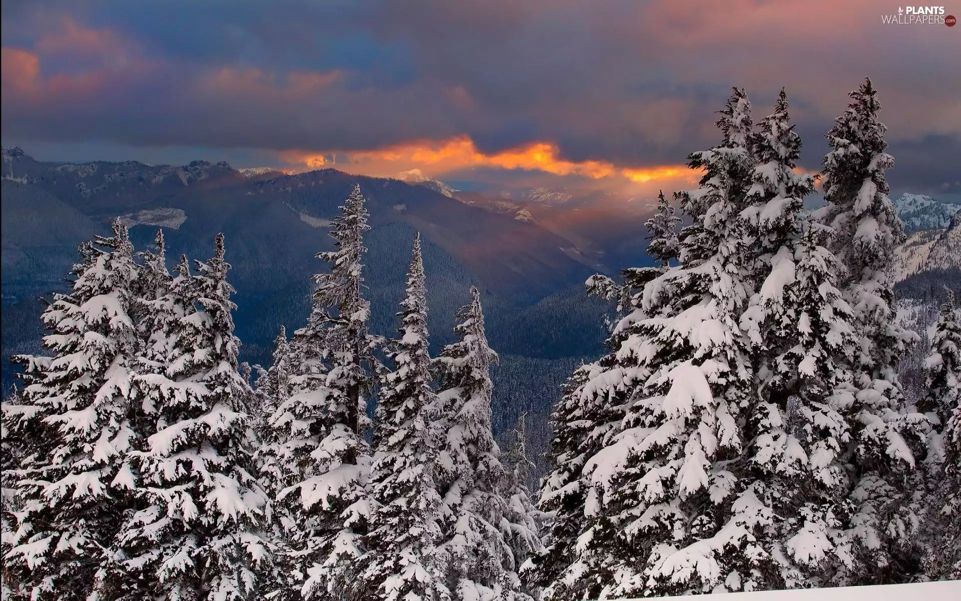 Mountains, viewes, Great Sunsets, The Hills, trees, snow, winter