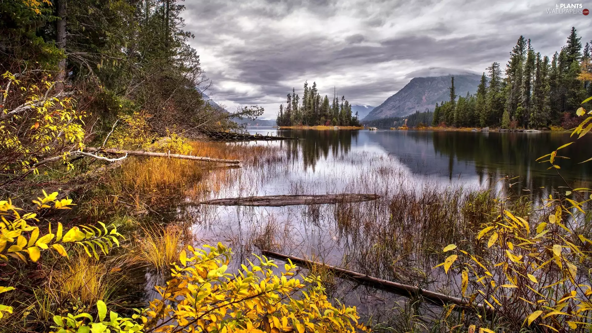 VEGETATION, Mountains, trees, viewes, lake