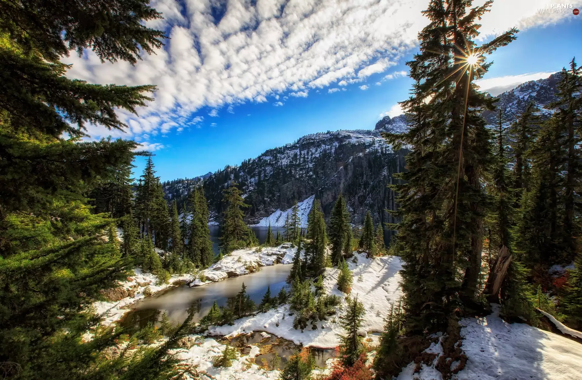 viewes, winter, lakes, Mountains, forest, trees