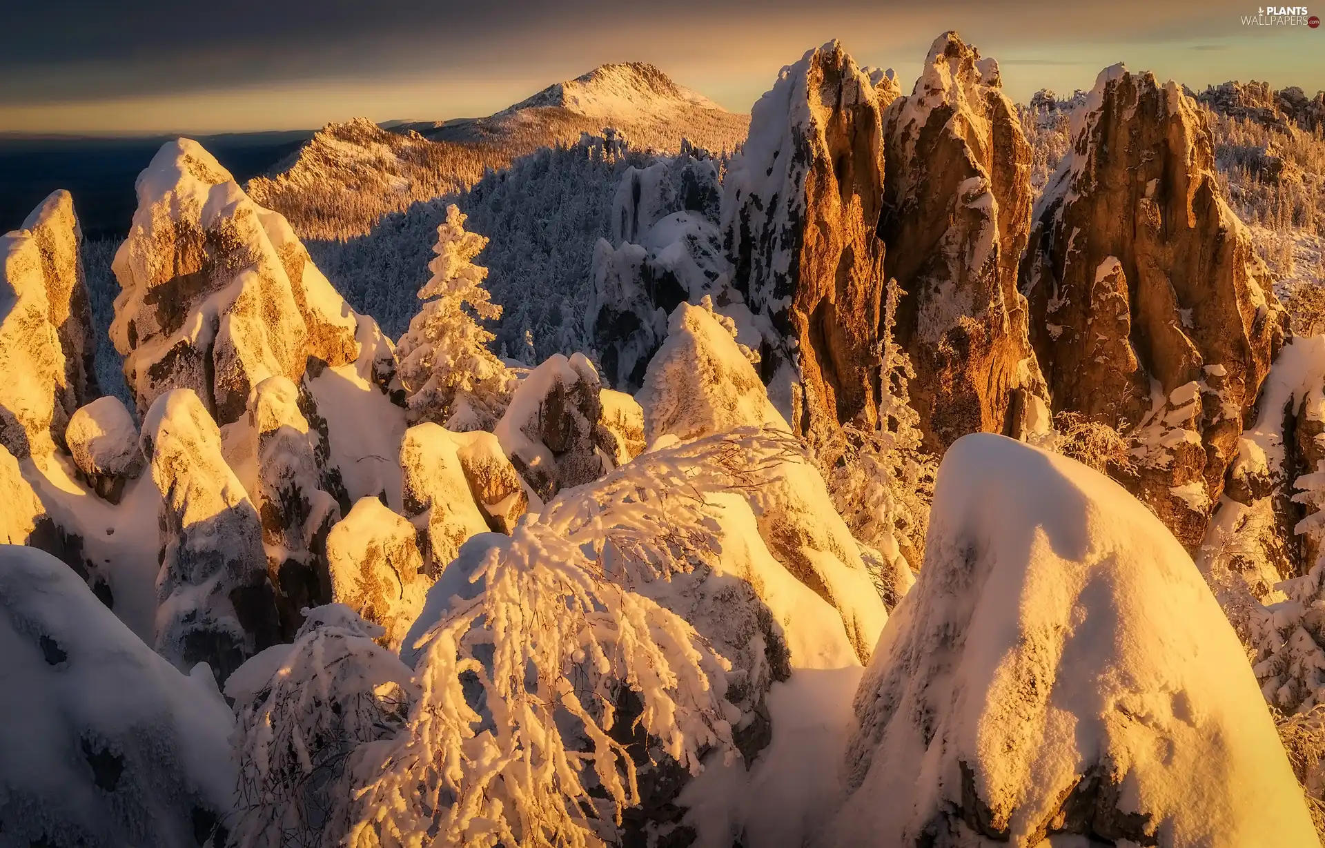 peaks, snow, trees, Mountains, winter, rocks, viewes