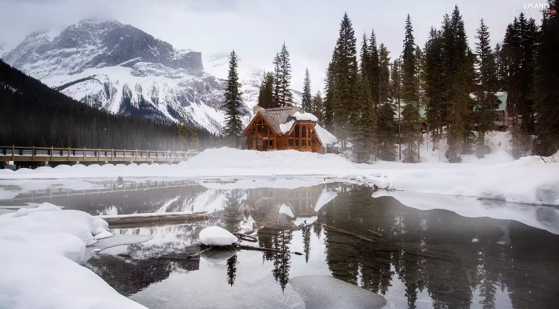 Emerald Lake, Canada, viewes, trees, bridge, viewes, trees, Mountains, Yoho National Park, house, winter