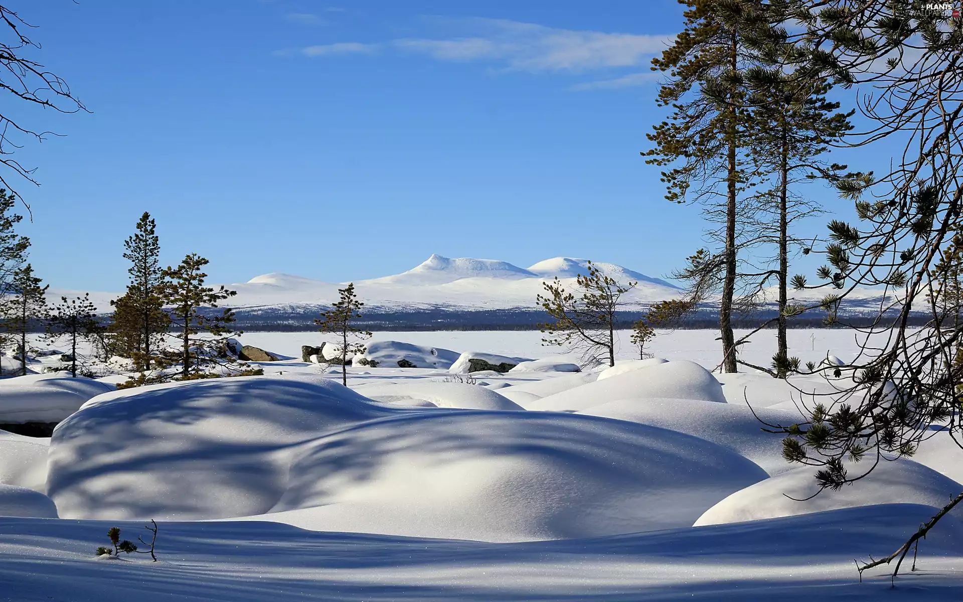 snow, Mountains, trees, viewes, winter