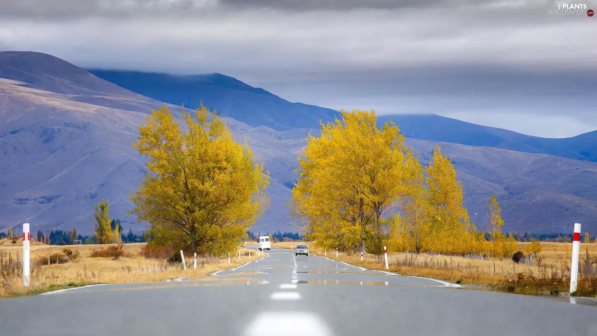 Way, Zelandia, trees, Mountains, New, autumn, viewes