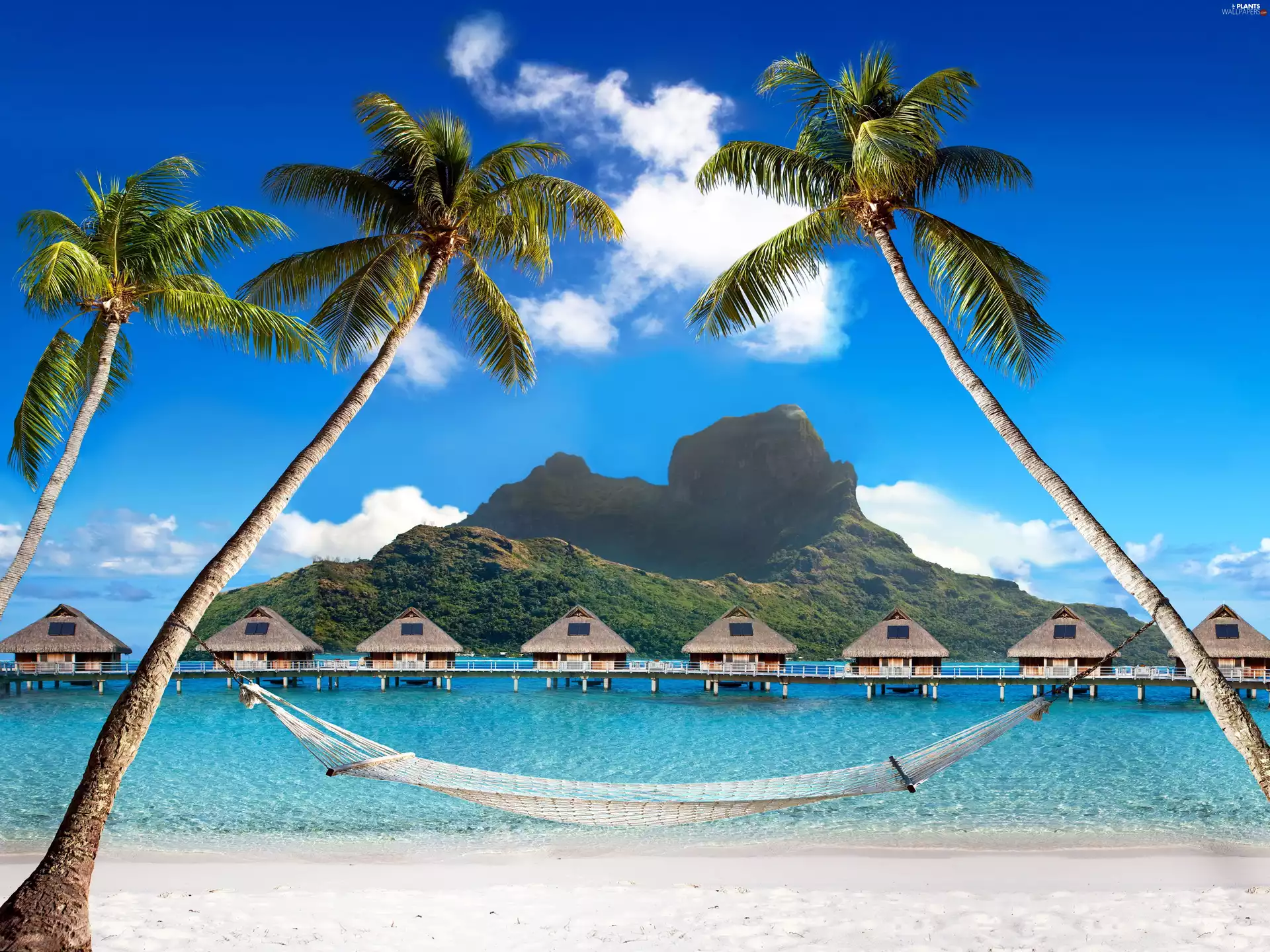 Houses, an, Tropical, piles, sea, Hammock, Palms, Mountains