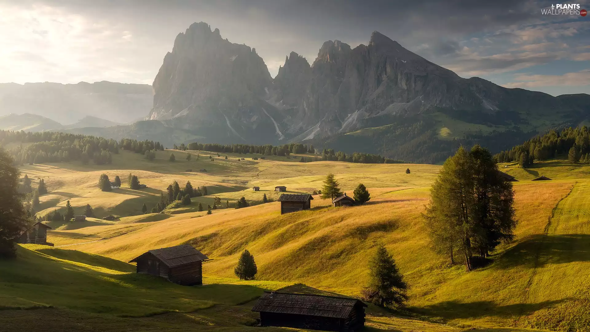 Houses, Seiser Alm Meadow, Dolomites, viewes, Sassolungo Mountains, Italy, Val Gardena Valley, clouds, trees, wood