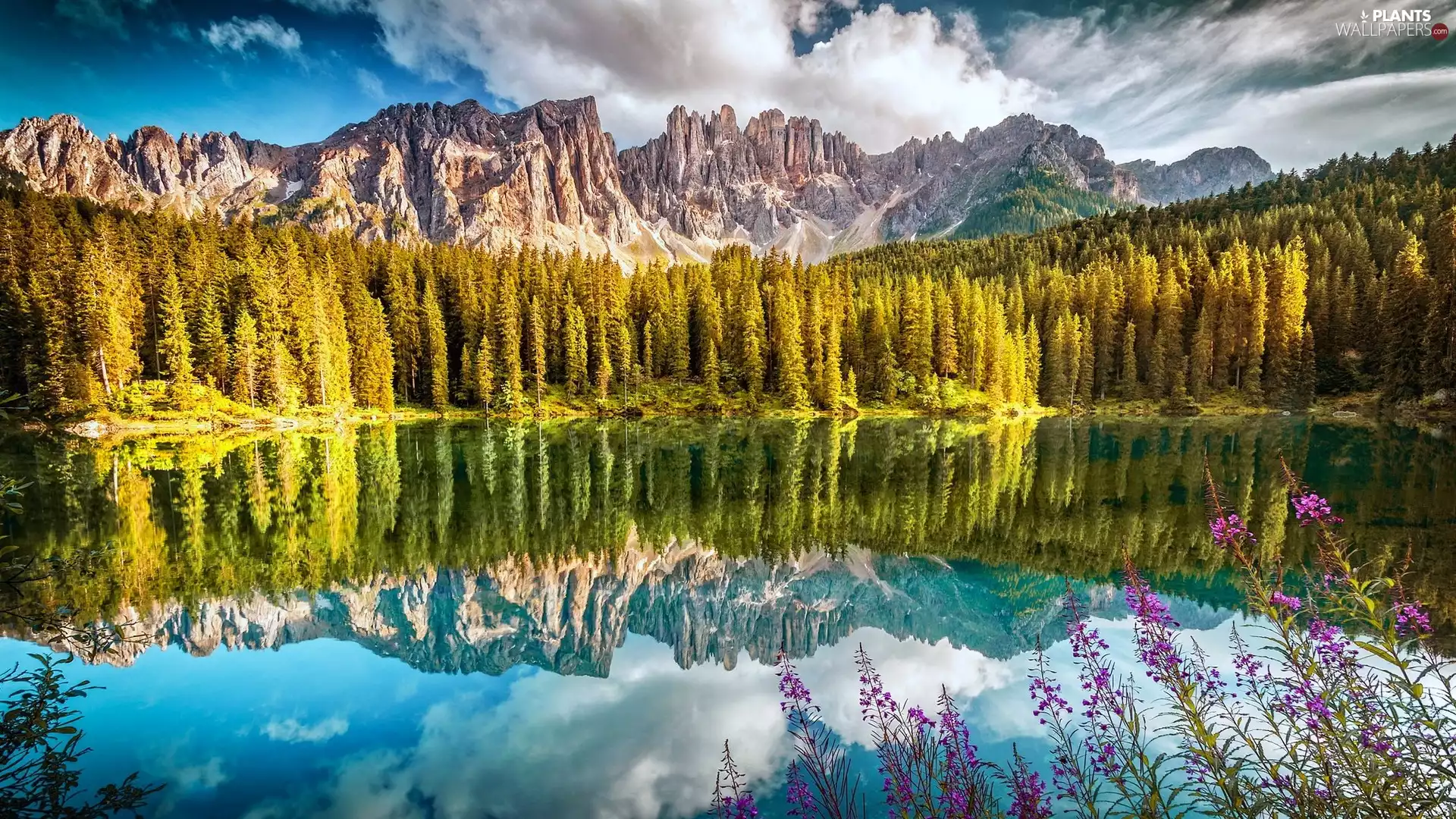 Mountains, Italy, Dolomites, Karersee Lake, clouds, reflection, trees, viewes, forest