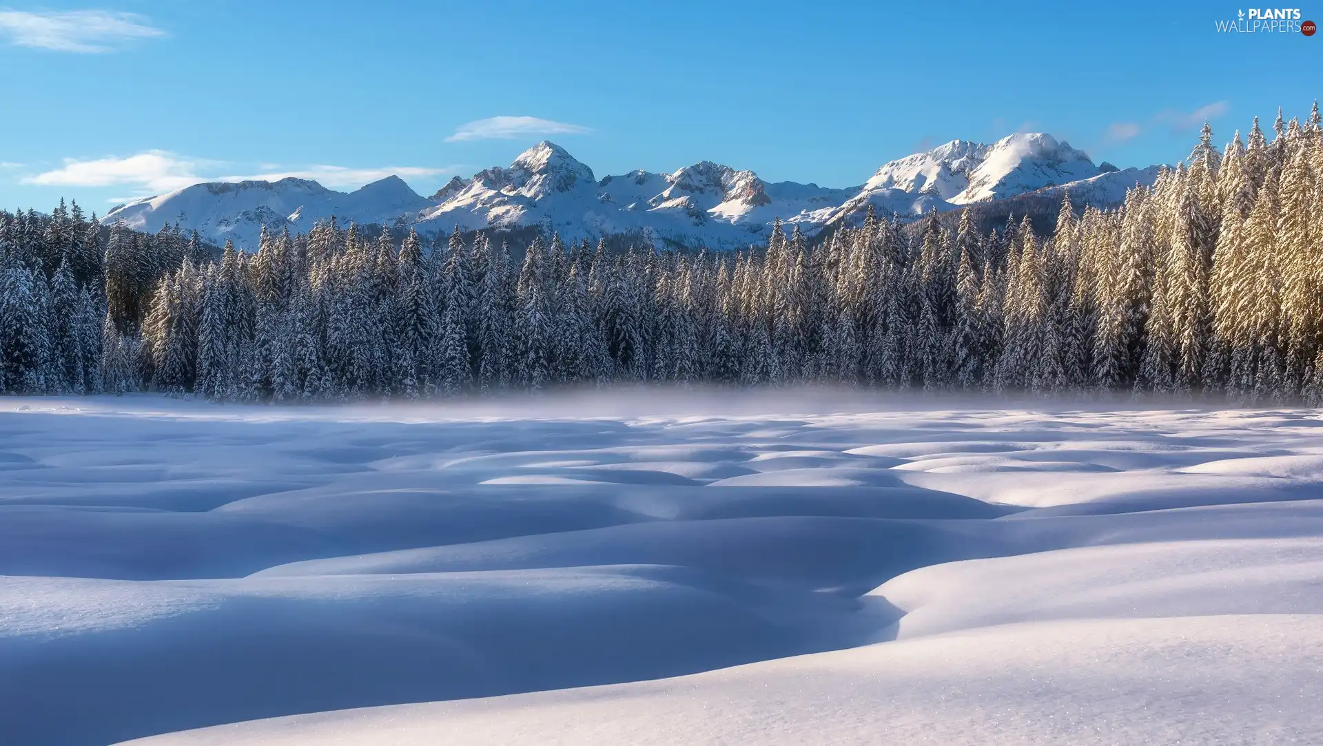 Triglav National Park, Slovenia, Julian Alps Mountains, Pokljuka Plateau, viewes, forest, winter, trees, Peatbog Barje Šijec