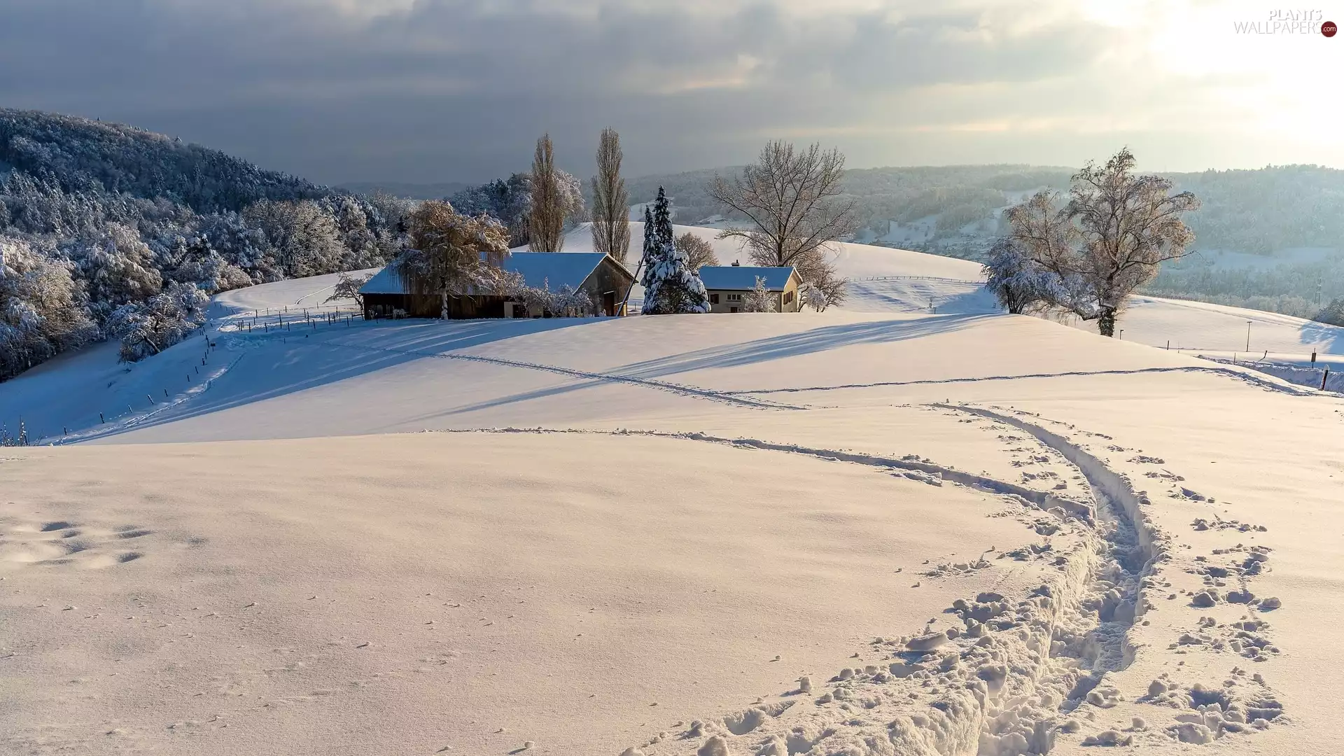 Houses, snow, viewes, Mountains, winter, trees, Path